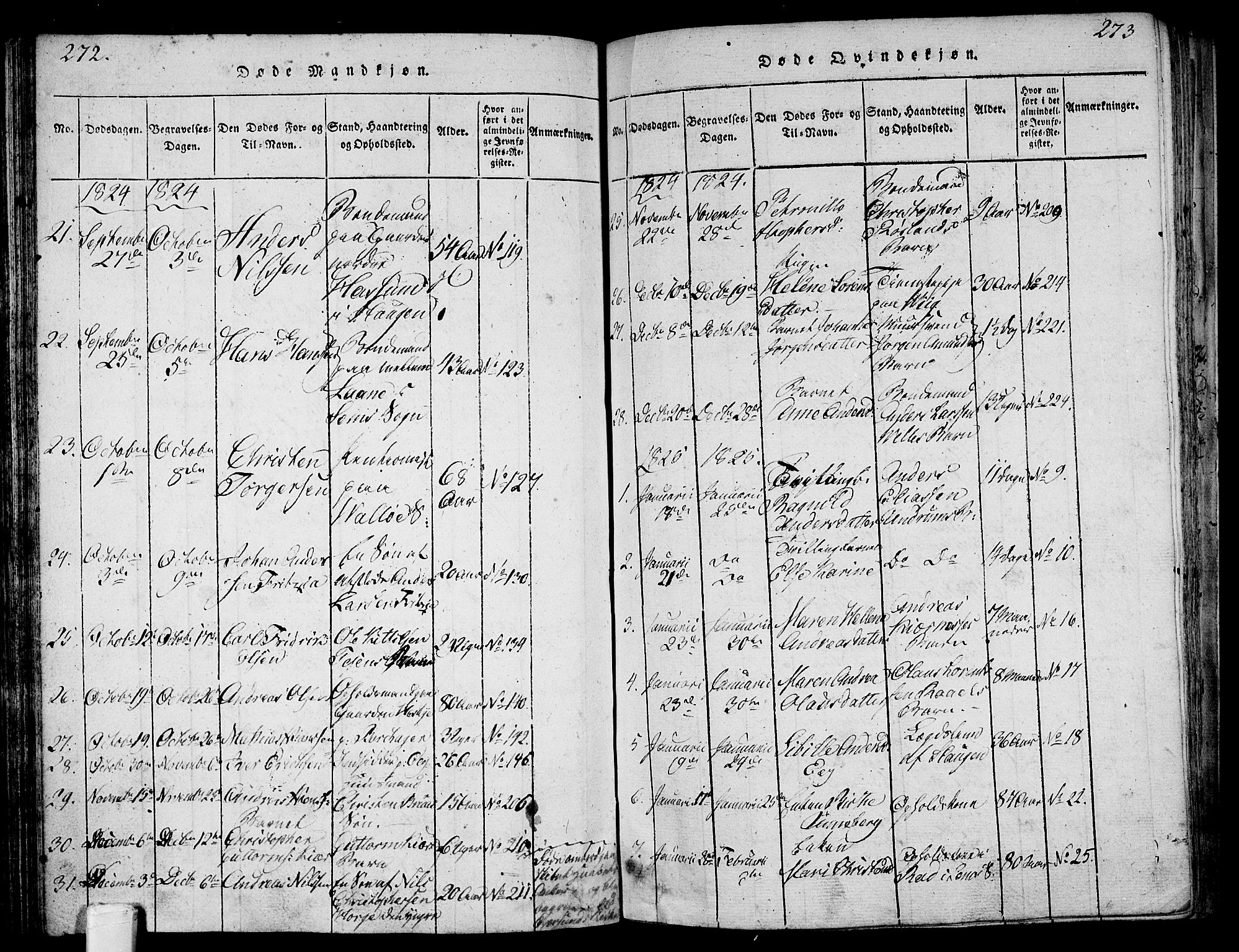 Sem kirkebøker, AV/SAKO-A-5/F/Fa/L0004: Parish register (official) no. I 4, 1814-1825, p. 272-273