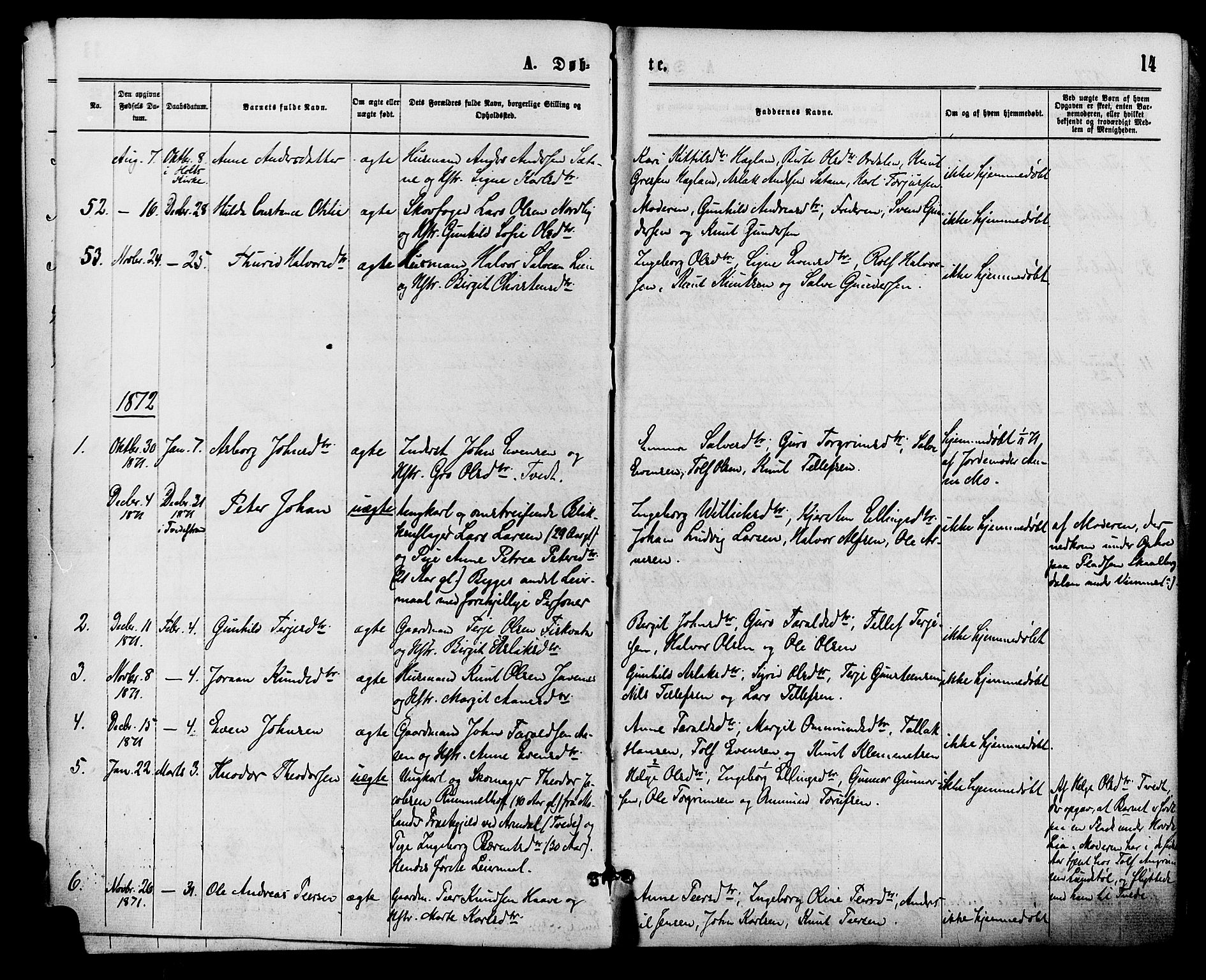 Åmli sokneprestkontor, SAK/1111-0050/F/Fa/Fac/L0009: Parish register (official) no. A 9 /1, 1869-1884, p. 14