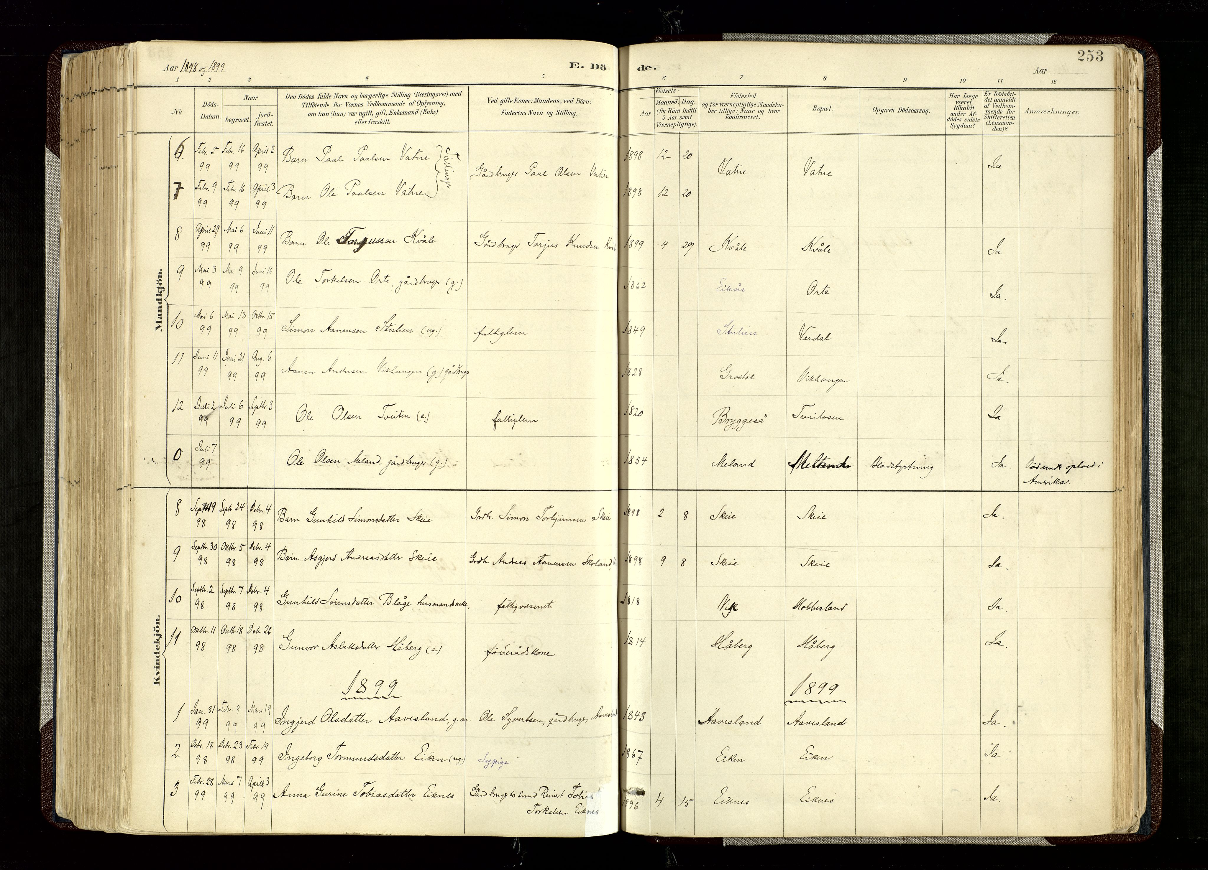 Hægebostad sokneprestkontor, SAK/1111-0024/F/Fa/Fab/L0004: Parish register (official) no. A 4, 1887-1929, p. 253