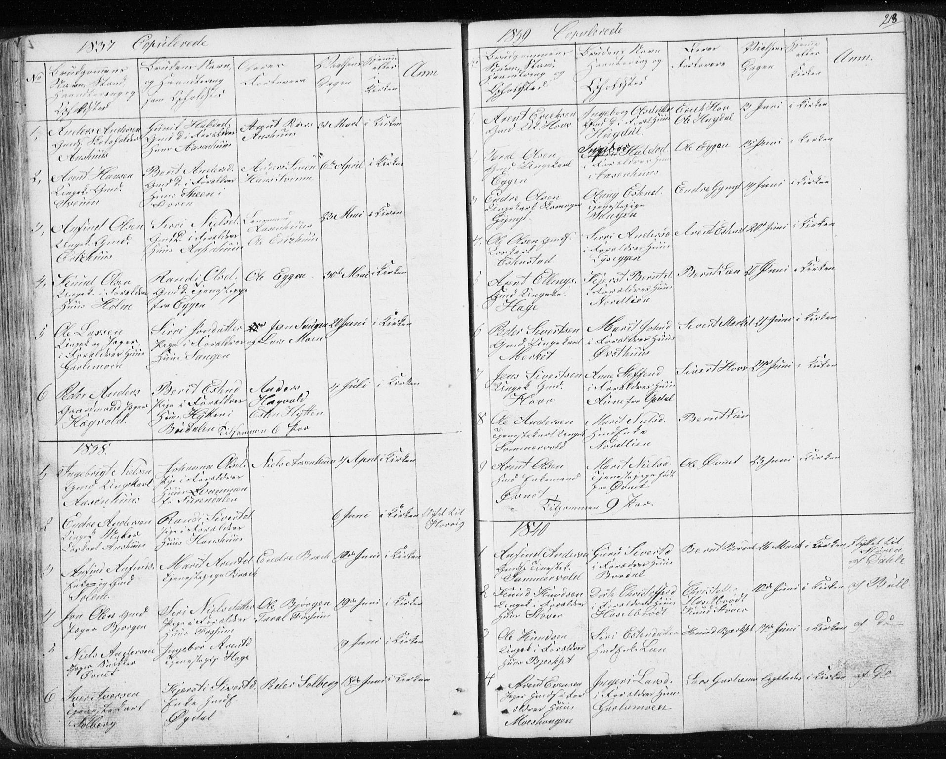 Ministerialprotokoller, klokkerbøker og fødselsregistre - Sør-Trøndelag, SAT/A-1456/689/L1043: Parish register (copy) no. 689C02, 1816-1892, p. 213