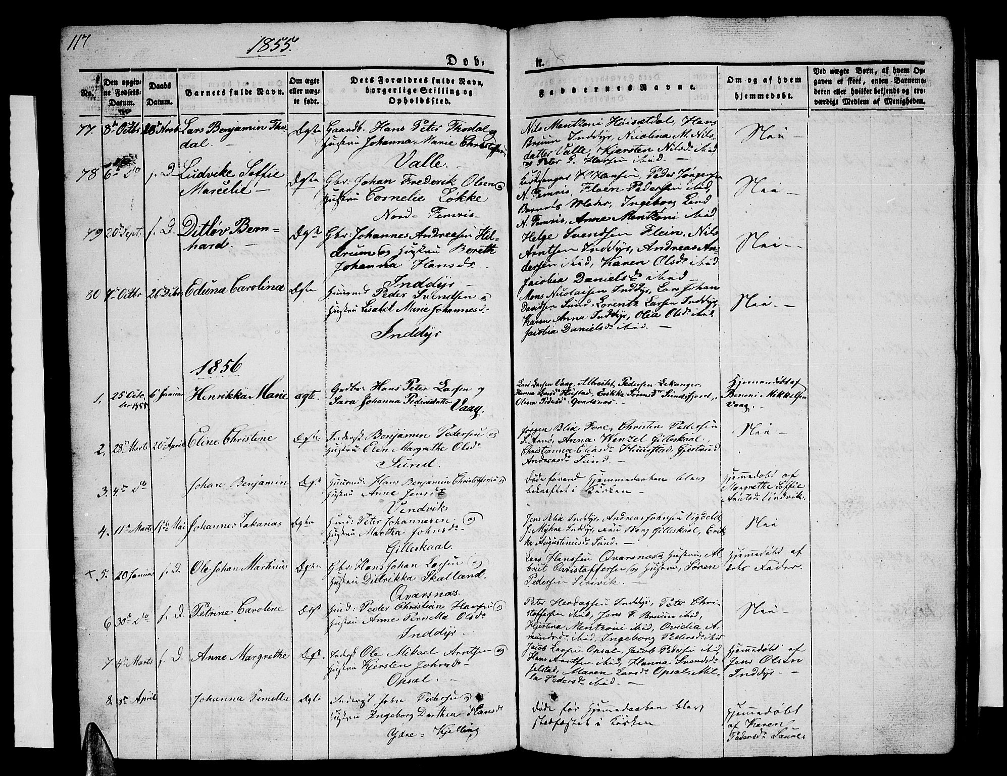 Ministerialprotokoller, klokkerbøker og fødselsregistre - Nordland, SAT/A-1459/805/L0106: Parish register (copy) no. 805C02, 1841-1861, p. 117