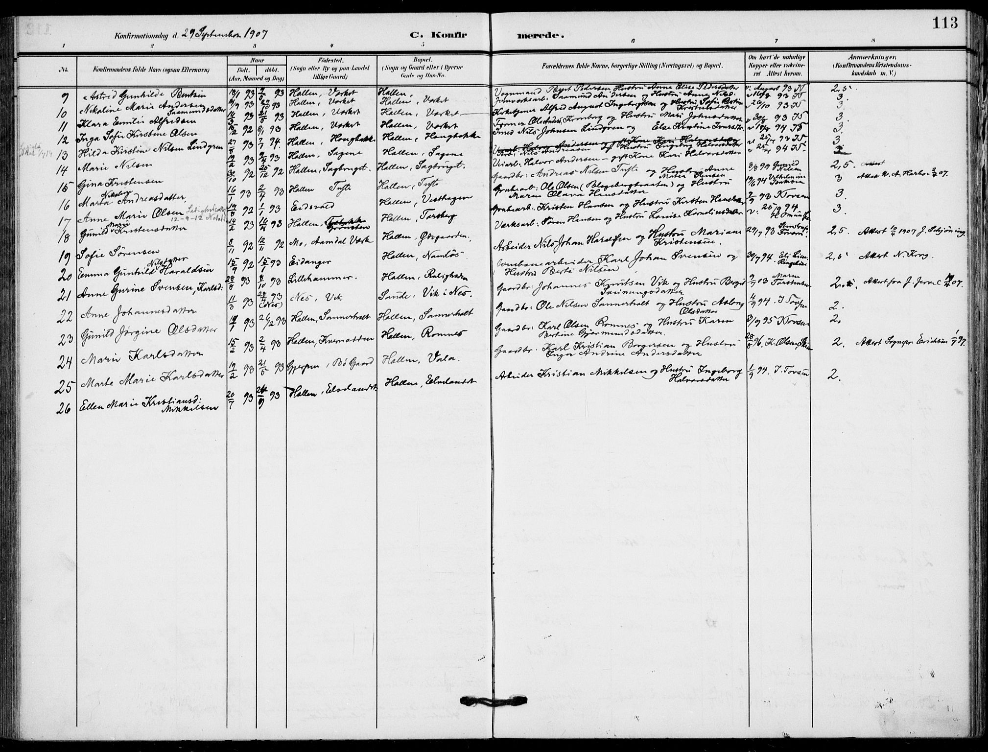 Holla kirkebøker, SAKO/A-272/F/Fa/L0012: Parish register (official) no. 12, 1907-1923, p. 113