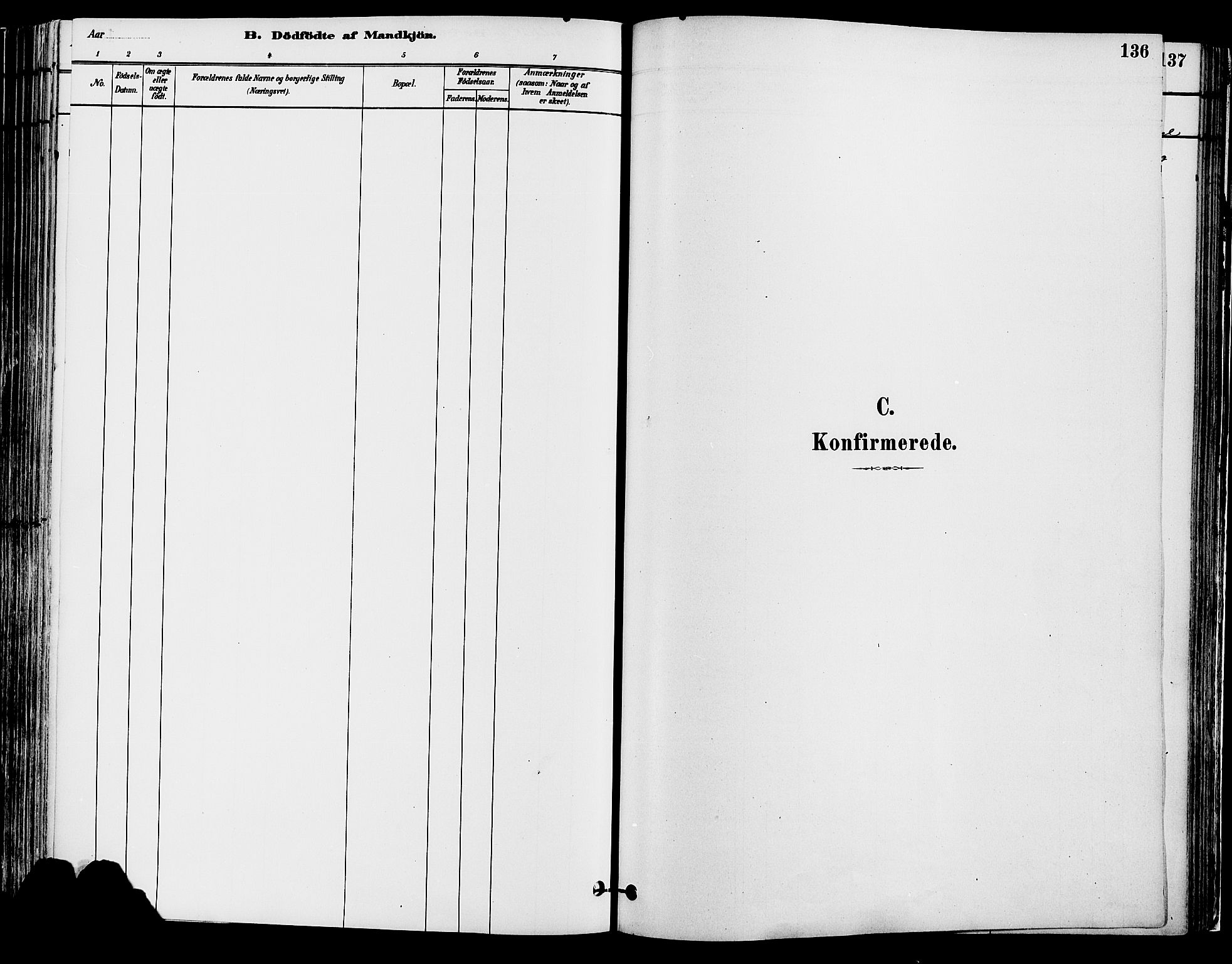 Elverum prestekontor, SAH/PREST-044/H/Ha/Haa/L0013: Parish register (official) no. 13, 1880-1890, p. 136