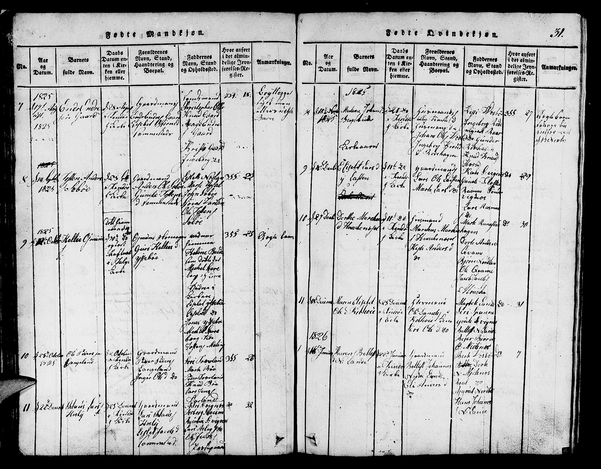 Finnøy sokneprestkontor, SAST/A-101825/H/Ha/Hab/L0001: Parish register (copy) no. B 1, 1816-1856, p. 31