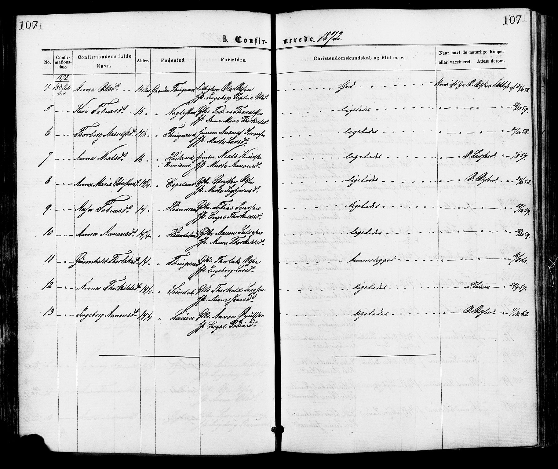 Hægebostad sokneprestkontor, AV/SAK-1111-0024/F/Fa/Faa/L0005: Parish register (official) no. A 5, 1864-1886, p. 107