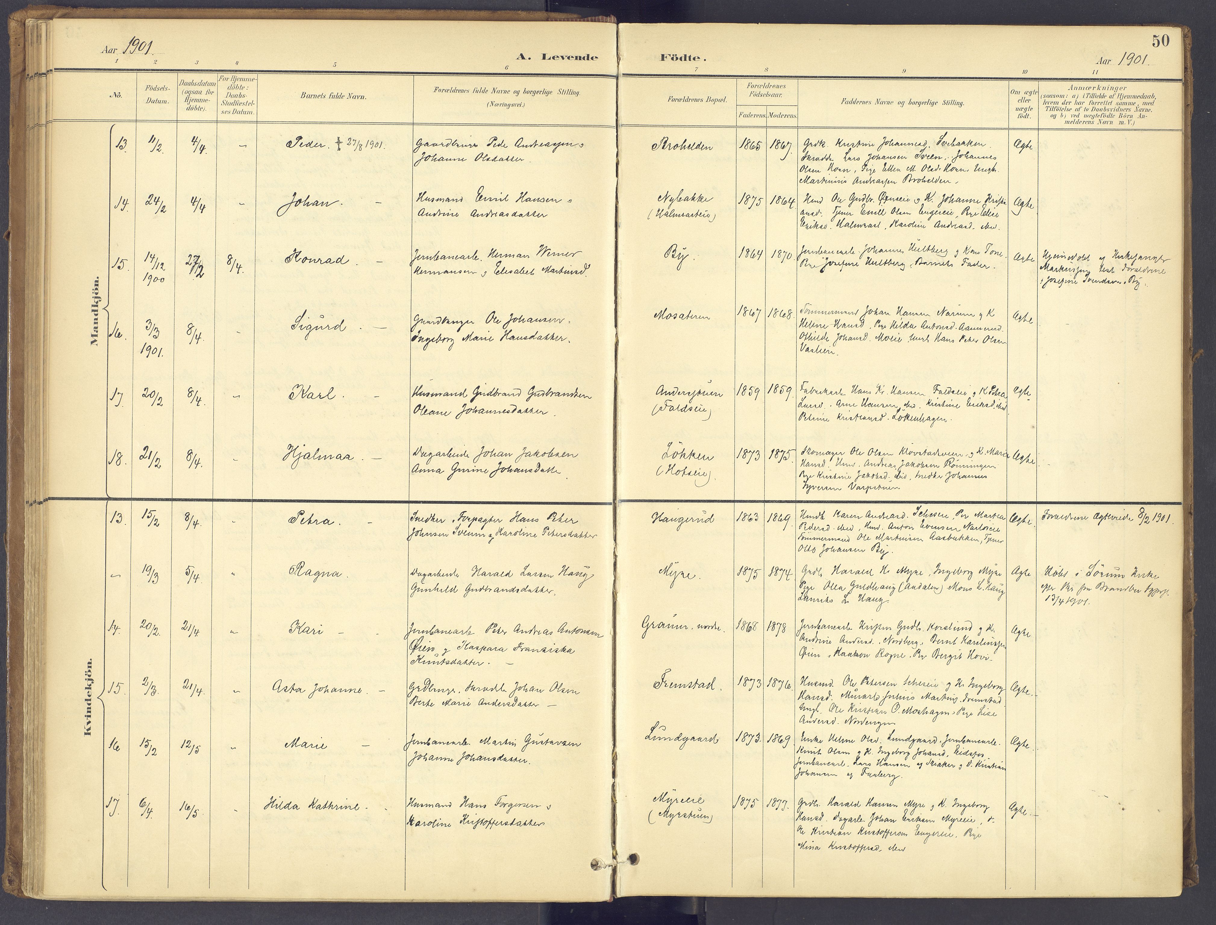 Søndre Land prestekontor, AV/SAH-PREST-122/K/L0006: Parish register (official) no. 6, 1895-1904, p. 50