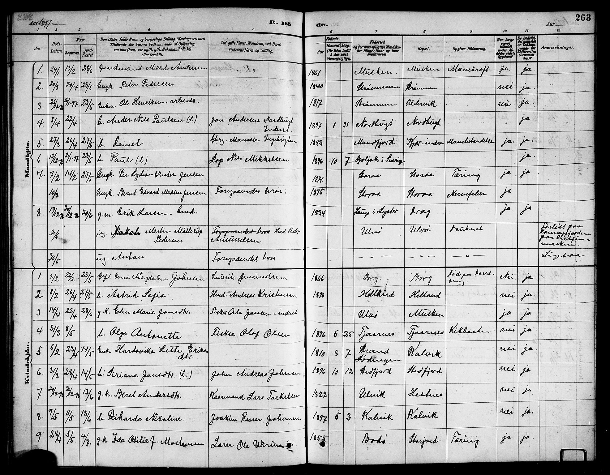 Ministerialprotokoller, klokkerbøker og fødselsregistre - Nordland, AV/SAT-A-1459/861/L0876: Parish register (copy) no. 861C02, 1887-1903, p. 263