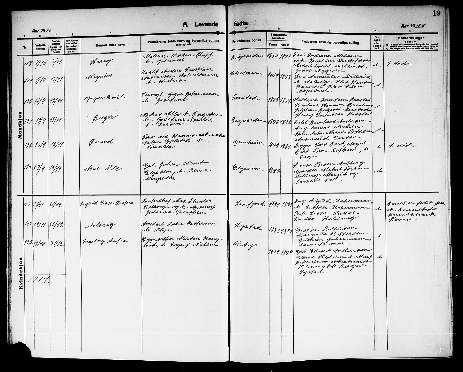 Sandar kirkebøker, AV/SAKO-A-243/G/Ga/L0003: Parish register (copy) no. 3, 1916-1922, p. 19