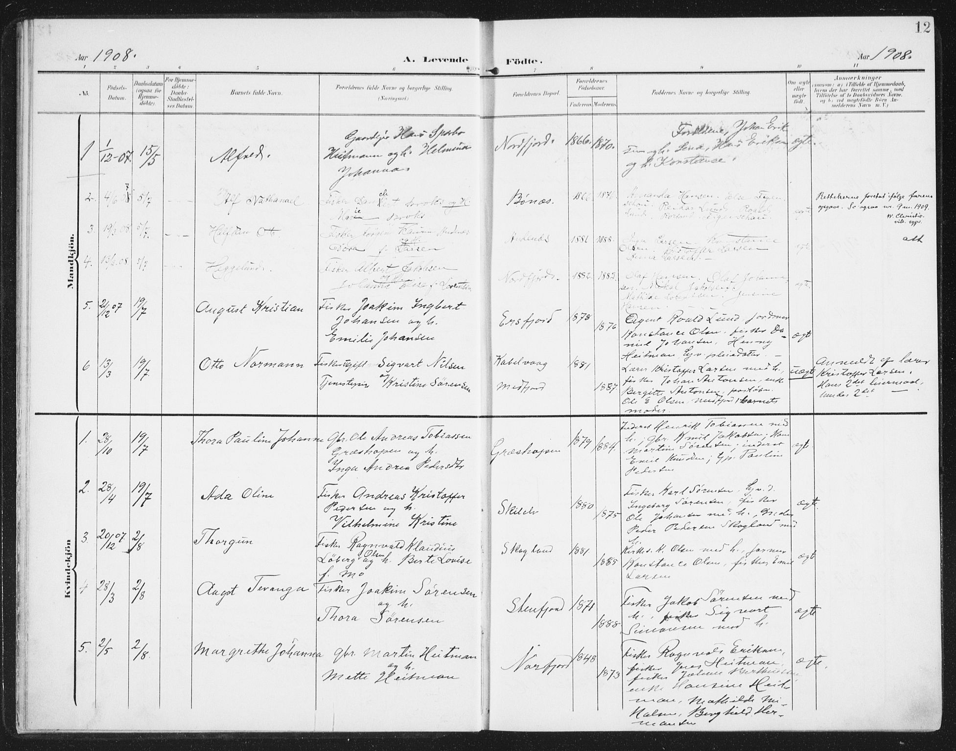 Berg sokneprestkontor, AV/SATØ-S-1318/G/Ga/Gaa/L0007kirke: Parish register (official) no. 7, 1906-1915, p. 12