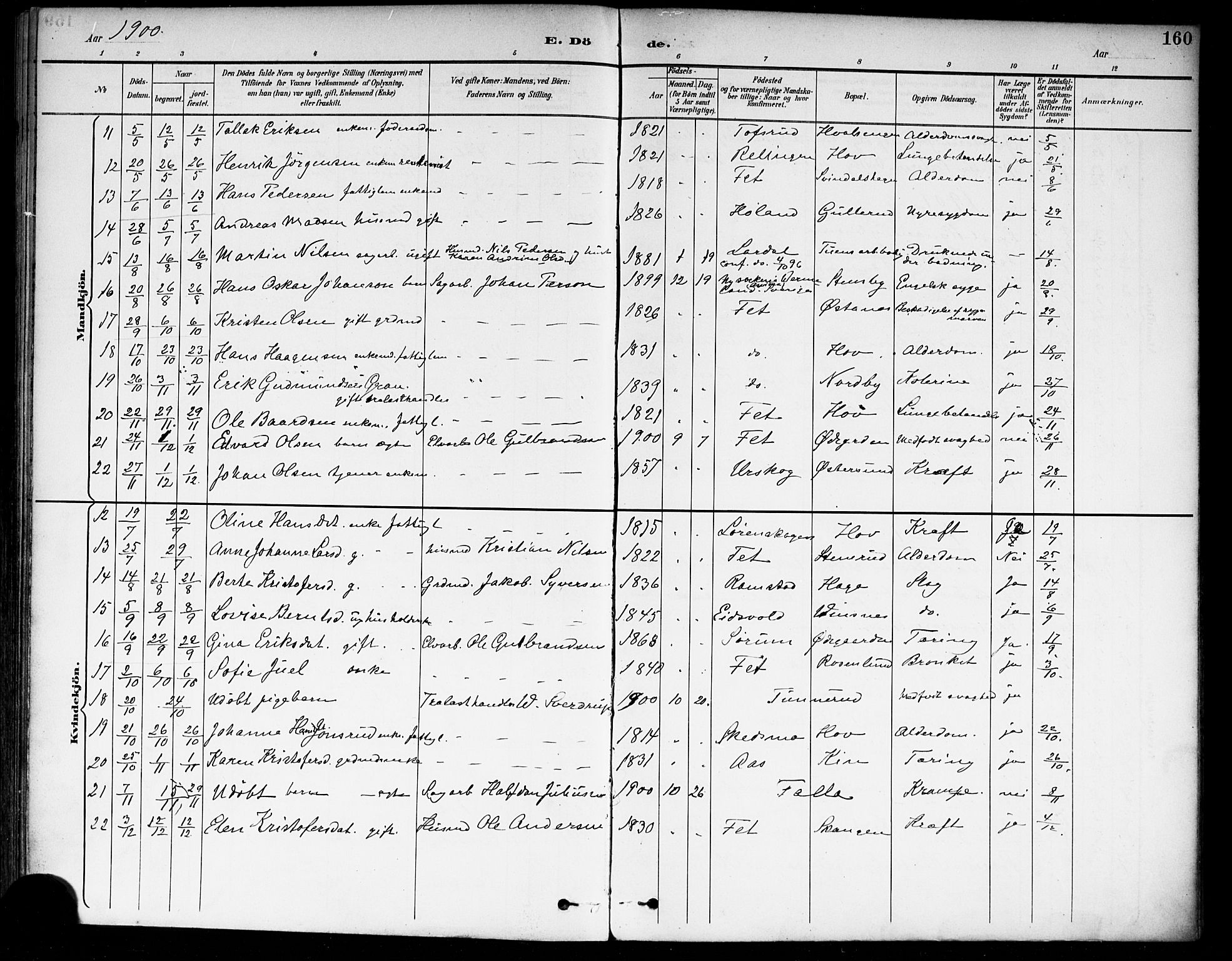 Fet prestekontor Kirkebøker, AV/SAO-A-10370a/F/Fa/L0015: Parish register (official) no. I 15, 1892-1904, p. 160