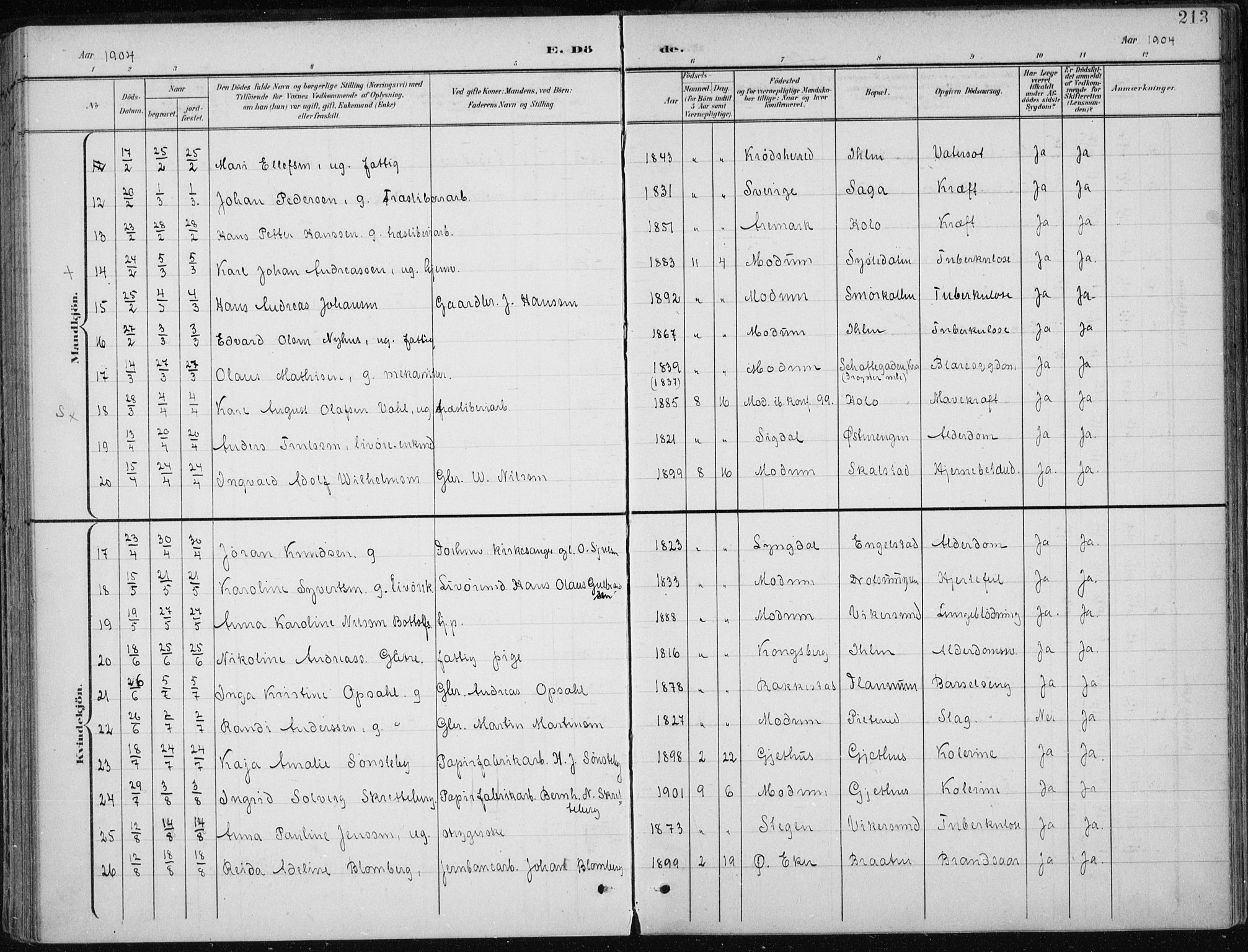 Modum kirkebøker, AV/SAKO-A-234/F/Fa/L0013: Parish register (official) no. 13, 1899-1907, p. 213