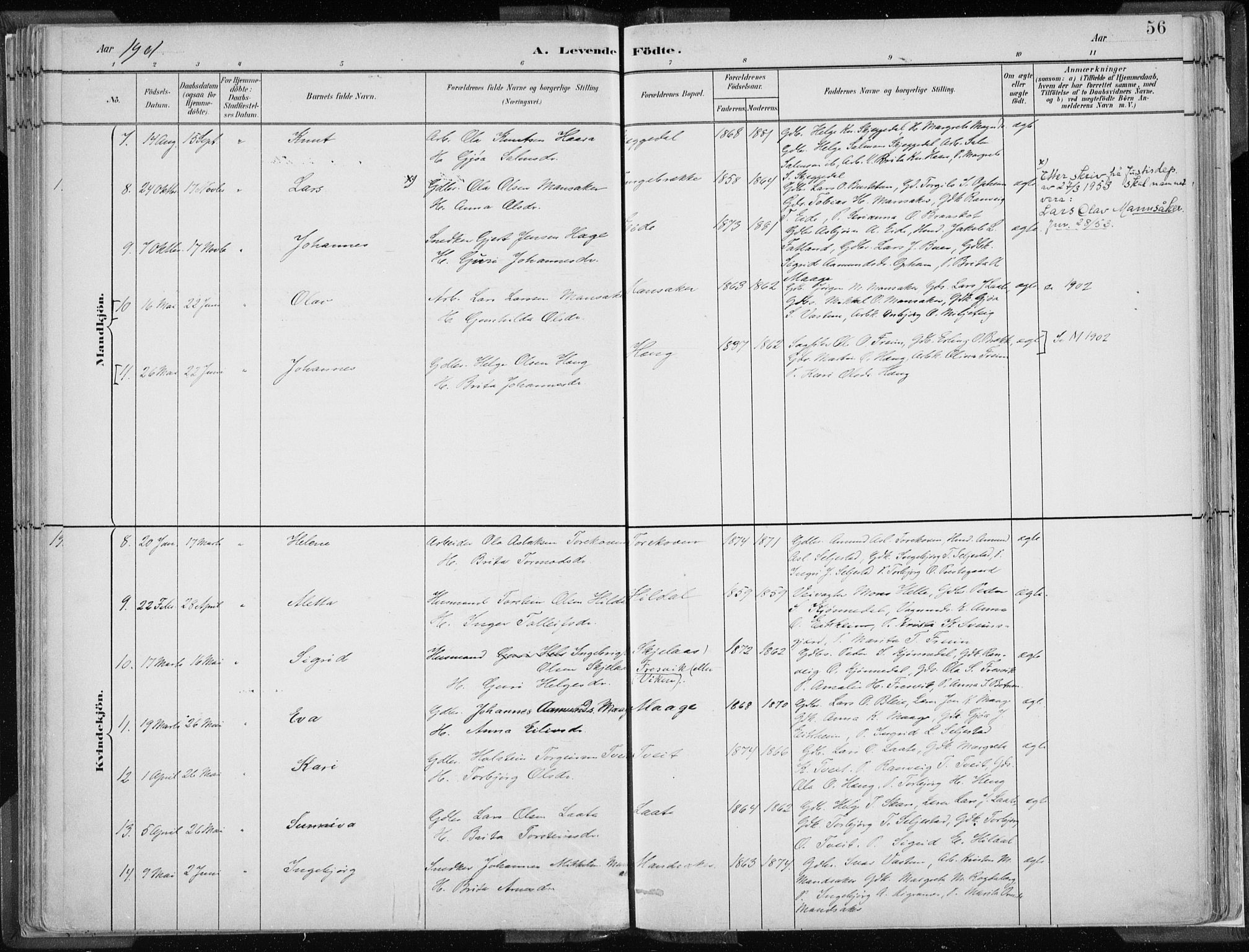 Odda Sokneprestembete, SAB/A-77201/H/Haa: Parish register (official) no. A  3, 1882-1913, p. 56