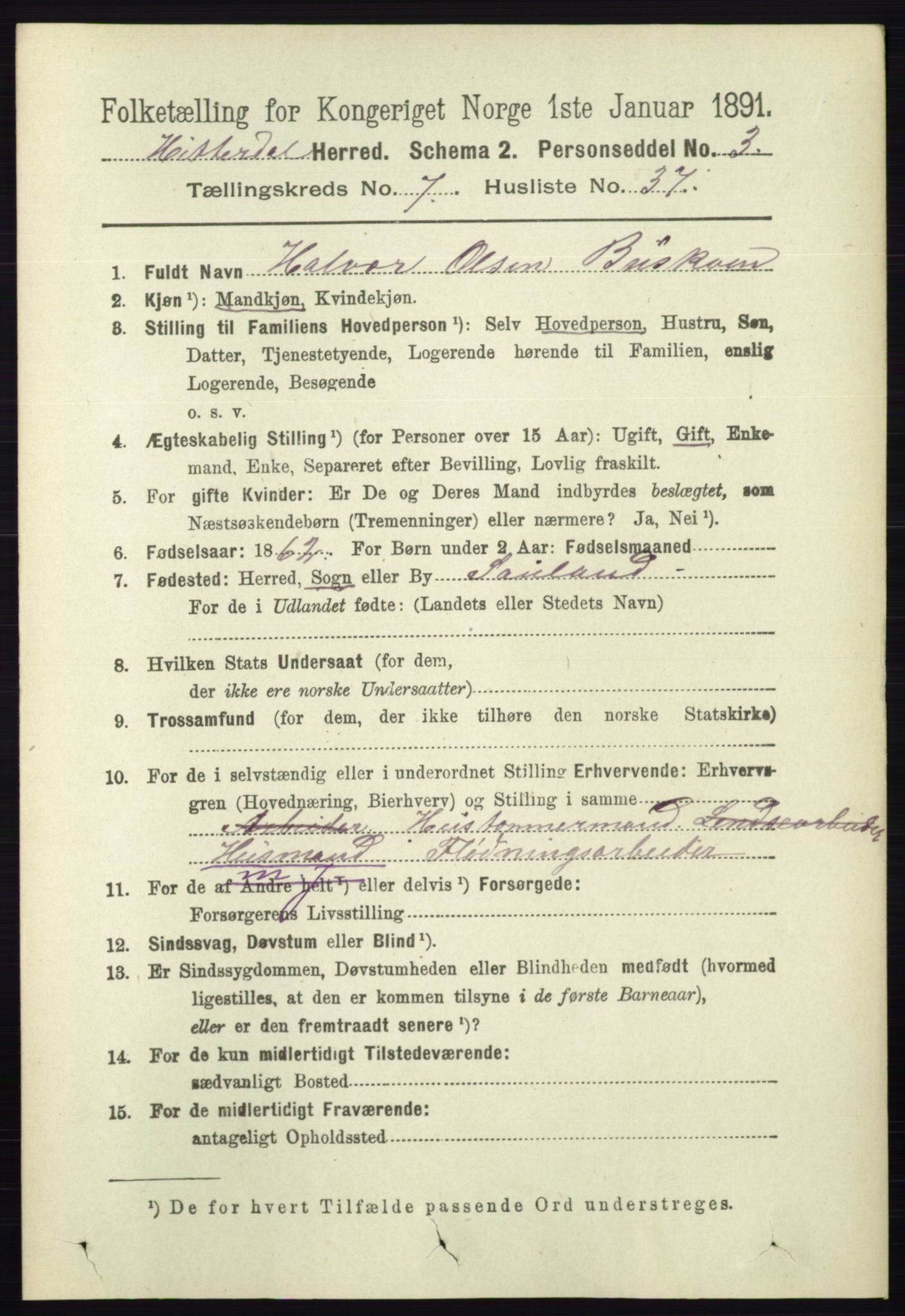 RA, 1891 census for 0823 Heddal, 1891, p. 3222