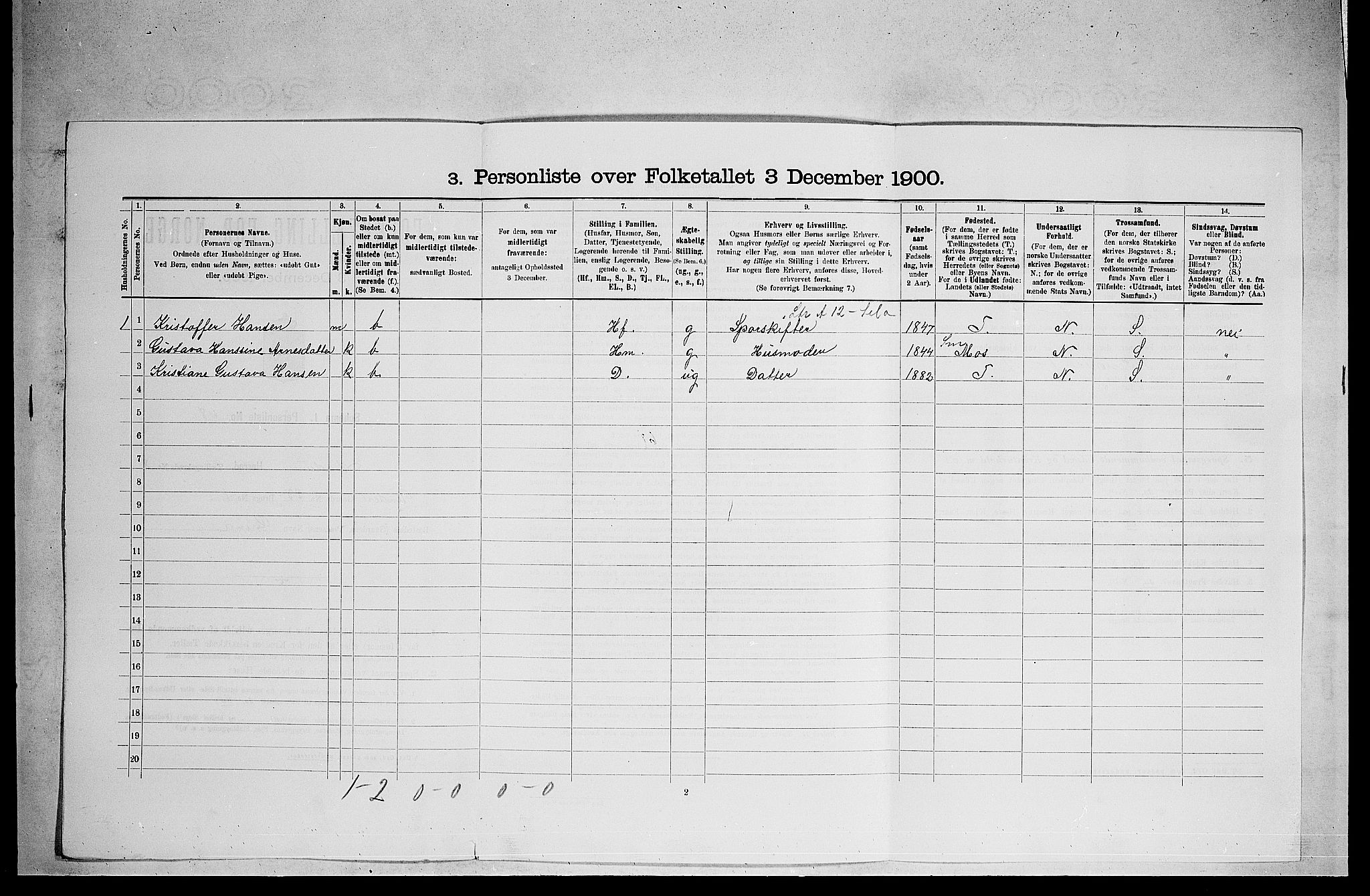 RA, 1900 census for Modum, 1900, p. 1038