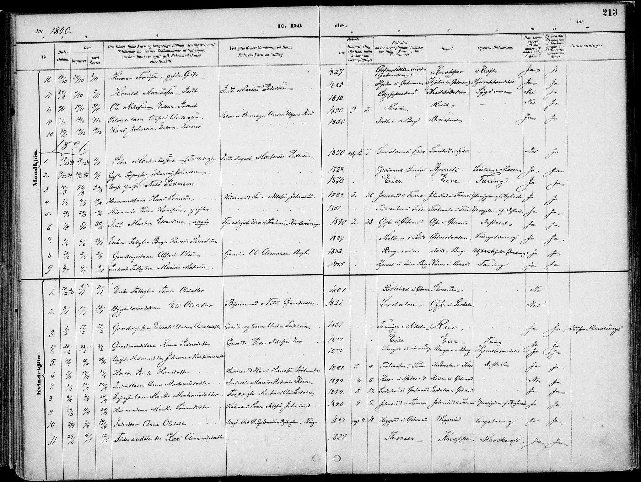 Nord-Odal prestekontor, SAH/PREST-032/H/Ha/Haa/L0008: Parish register (official) no. 8, 1886-1901, p. 213