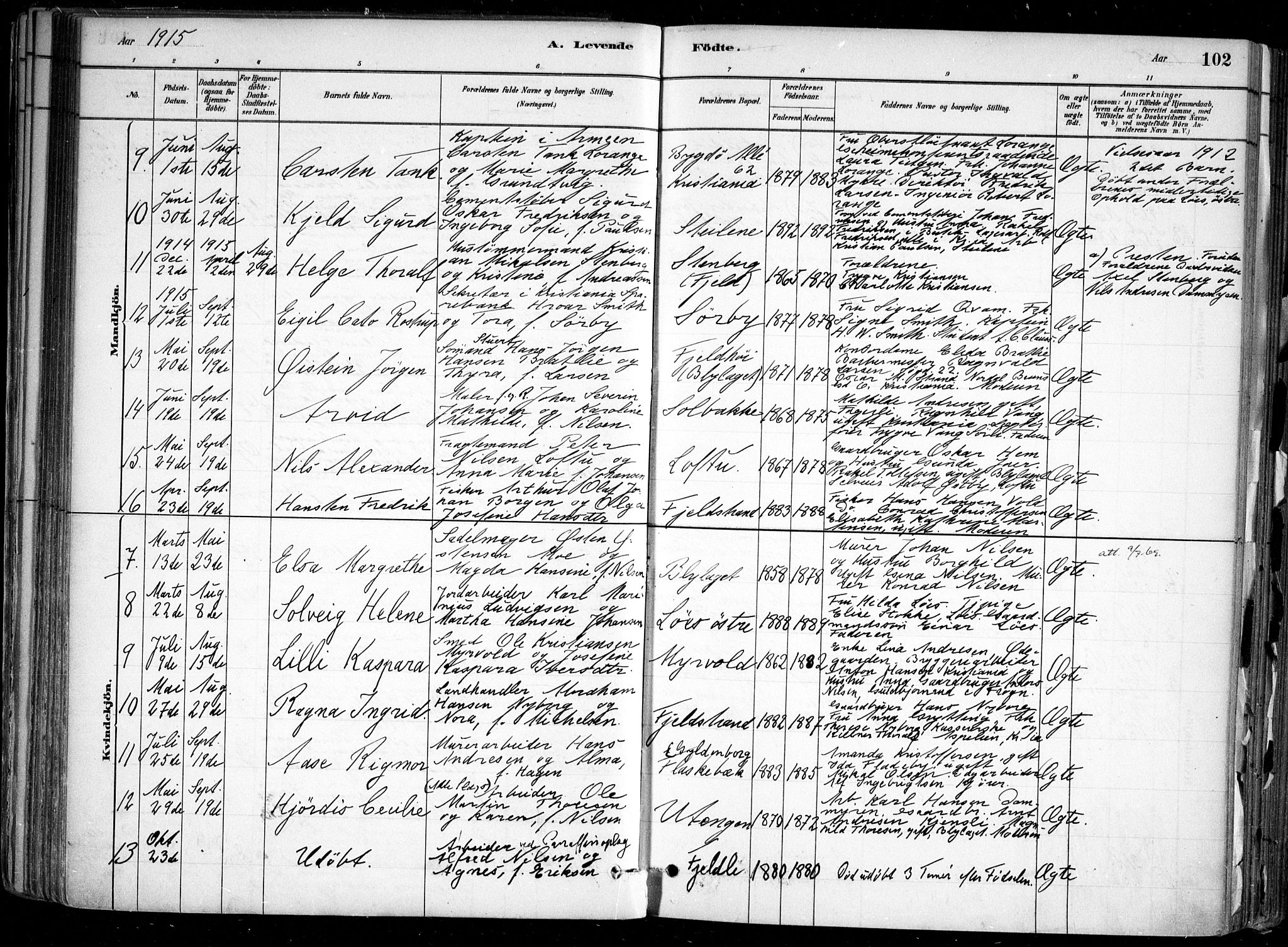 Nesodden prestekontor Kirkebøker, SAO/A-10013/F/Fa/L0009: Parish register (official) no. I 9, 1880-1915, p. 102