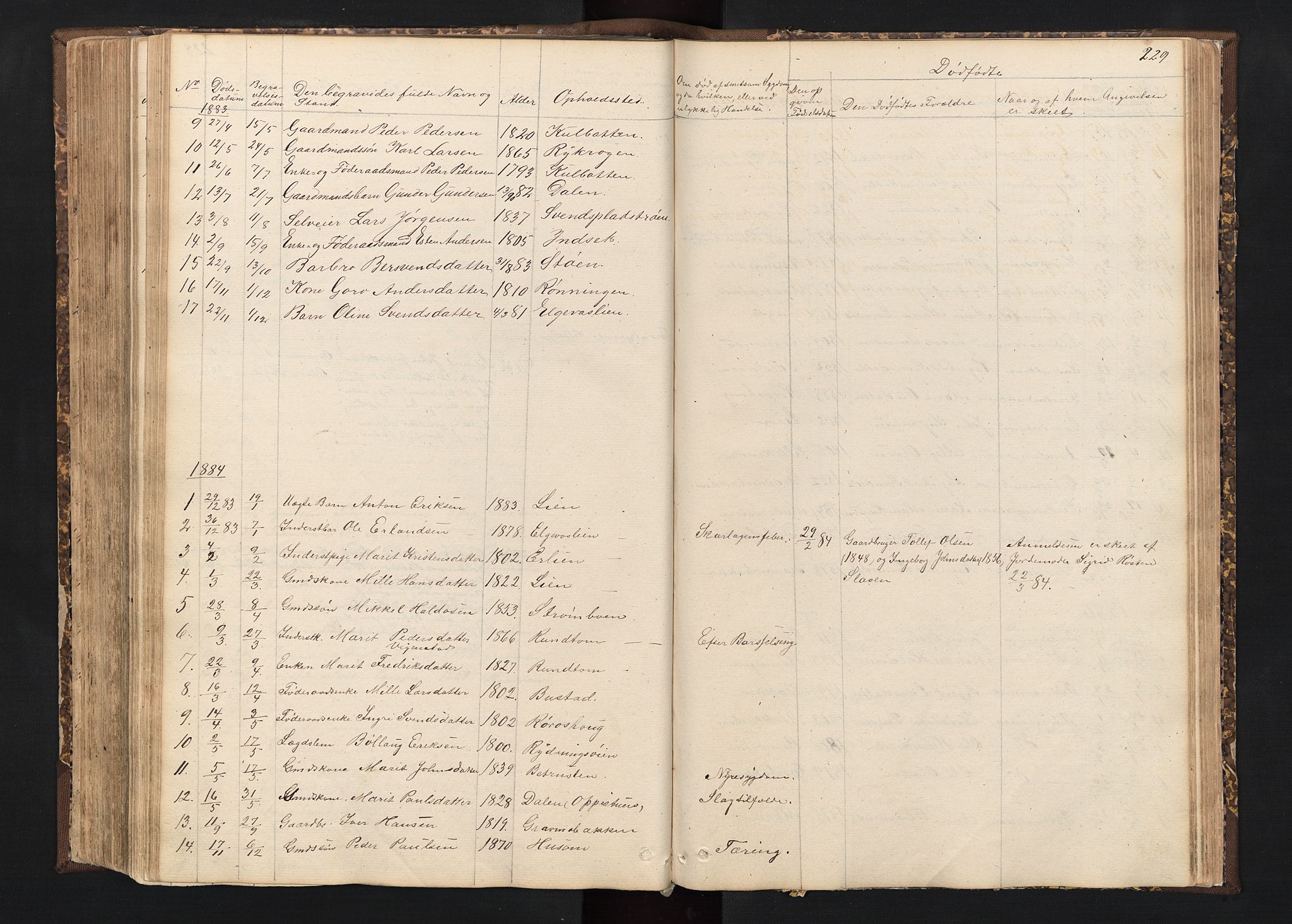 Alvdal prestekontor, SAH/PREST-060/H/Ha/Hab/L0001: Parish register (copy) no. 1, 1857-1893, p. 229