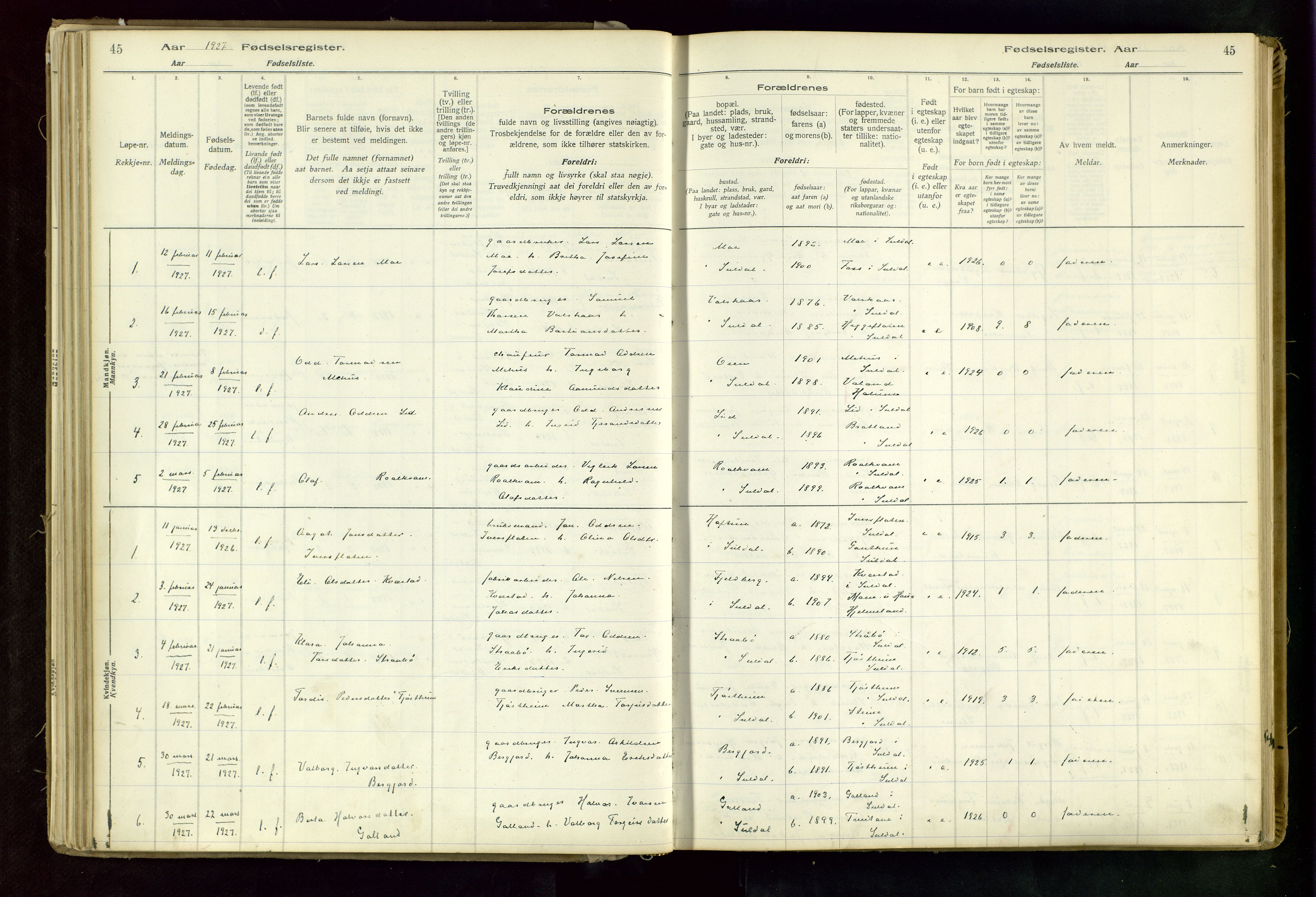 Suldal sokneprestkontor, AV/SAST-A-101845/03/A/L0002: Birth register no. 2, 1916-1982, p. 45