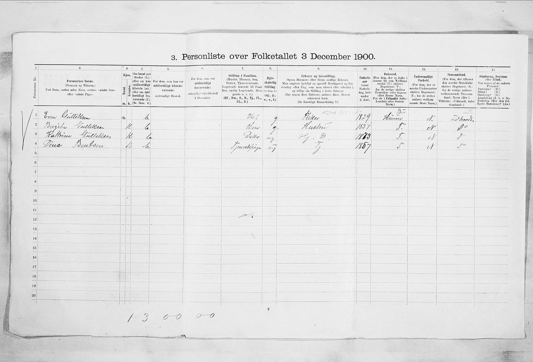 RA, 1900 census for Holmsbu, 1900, p. 11