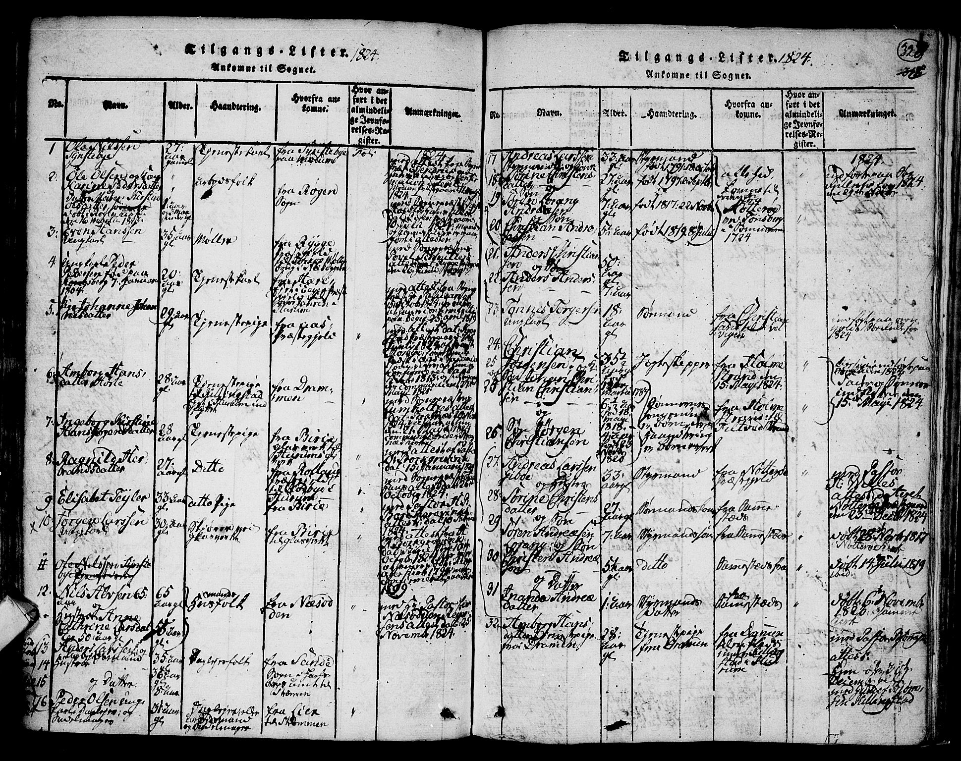 Hurum kirkebøker, SAKO/A-229/F/Fa/L0009: Parish register (official) no. 9, 1816-1826, p. 320