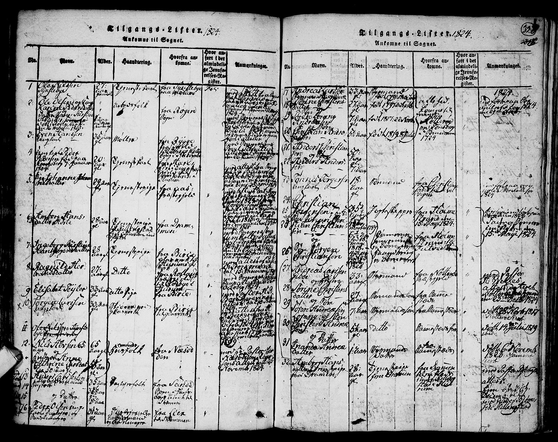 Hurum kirkebøker, AV/SAKO-A-229/F/Fa/L0009: Parish register (official) no. 9, 1816-1826, p. 320