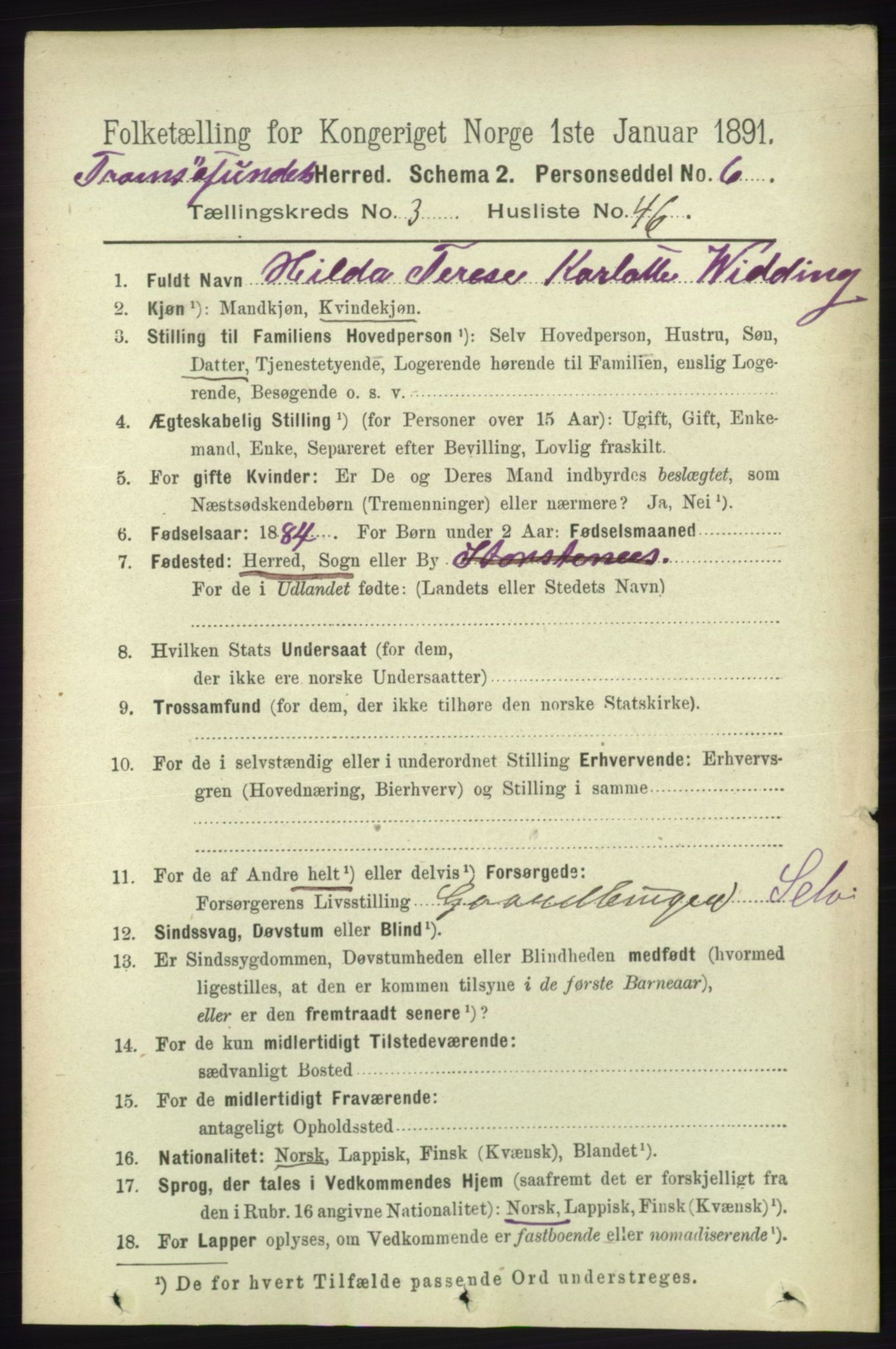 RA, 1891 census for 1934 Tromsøysund, 1891, p. 1319