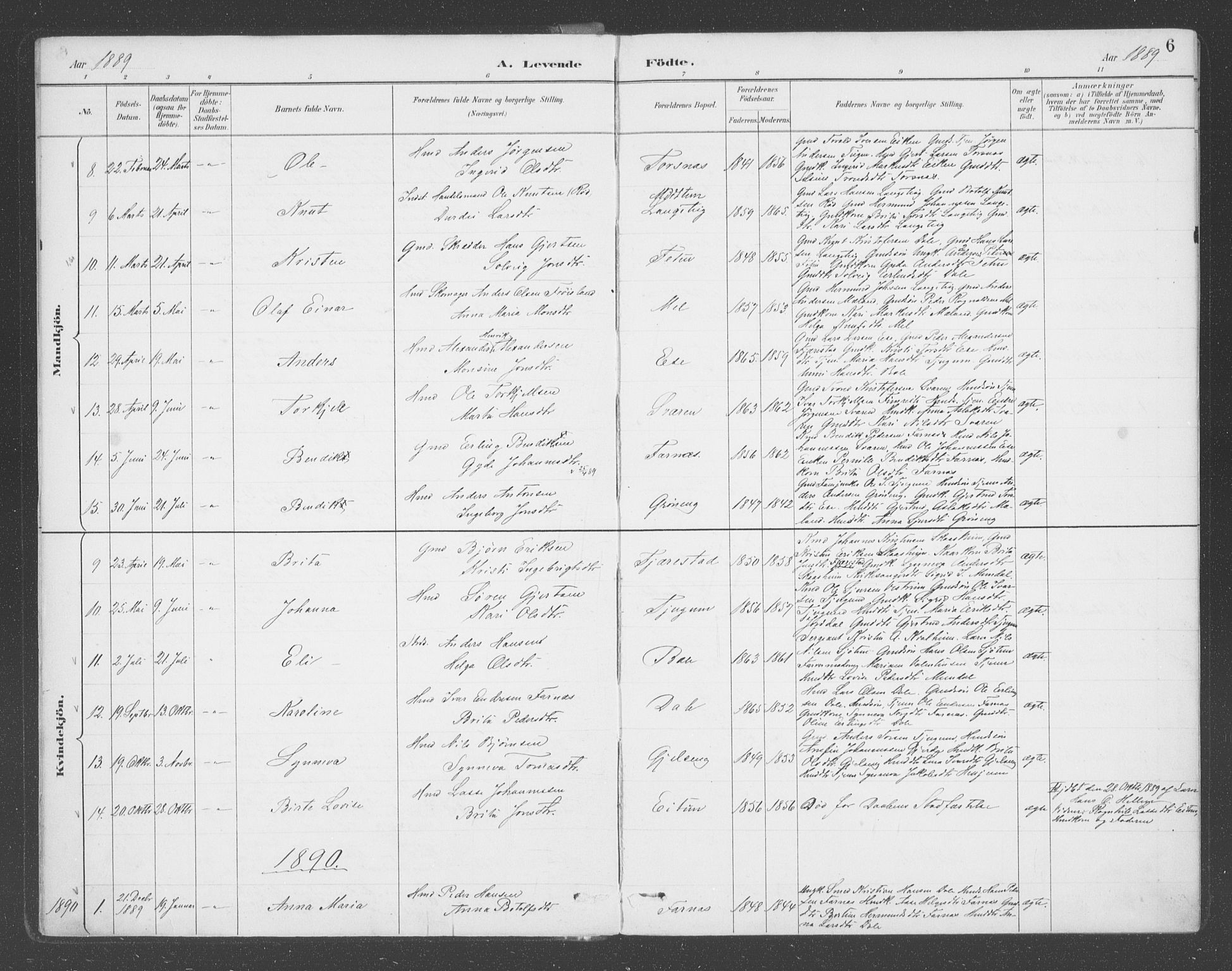Balestrand sokneprestembete, SAB/A-79601/H/Haa/Haab/L0001: Parish register (official) no. B  1, 1889-1910, p. 6