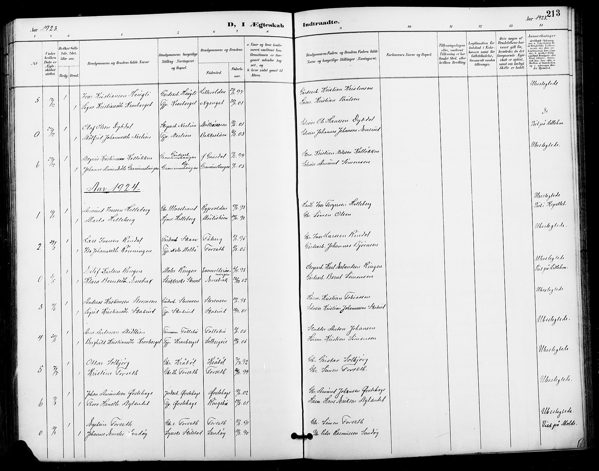 Vestre Gausdal prestekontor, SAH/PREST-094/H/Ha/Hab/L0003: Parish register (copy) no. 3, 1896-1925, p. 213