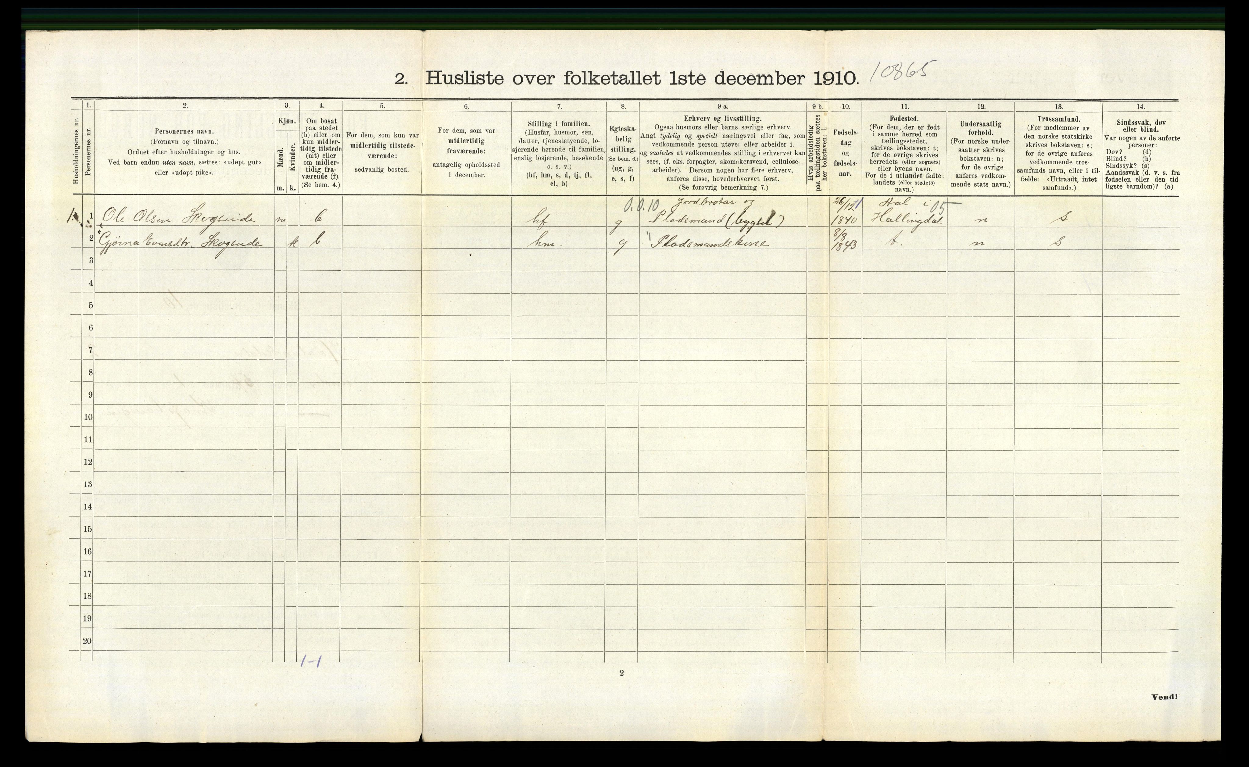 RA, 1910 census for Hålandsdal, 1910, p. 119