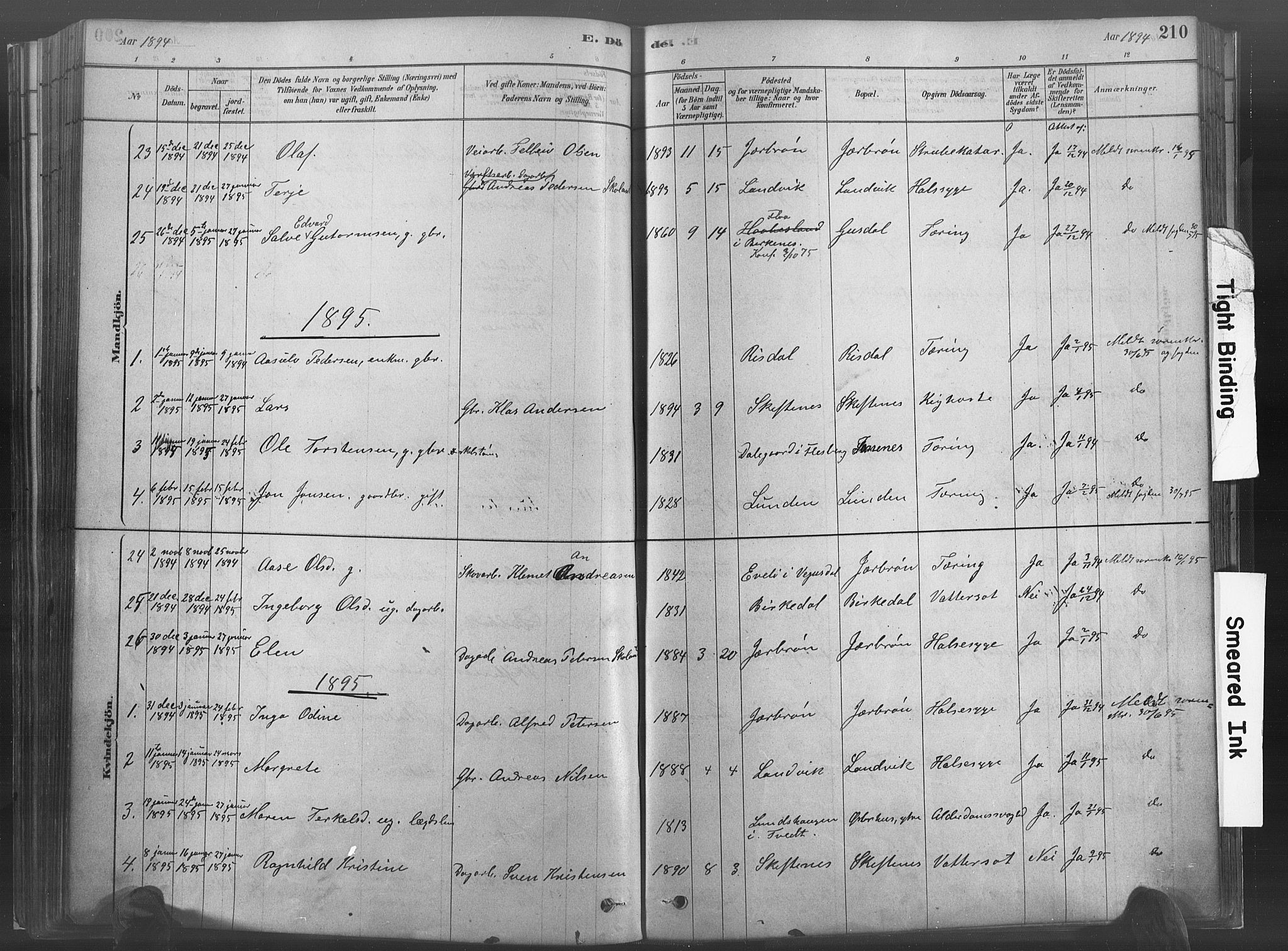 Hommedal sokneprestkontor, SAK/1111-0023/F/Fa/Fab/L0006: Parish register (official) no. A 6, 1878-1897, p. 210