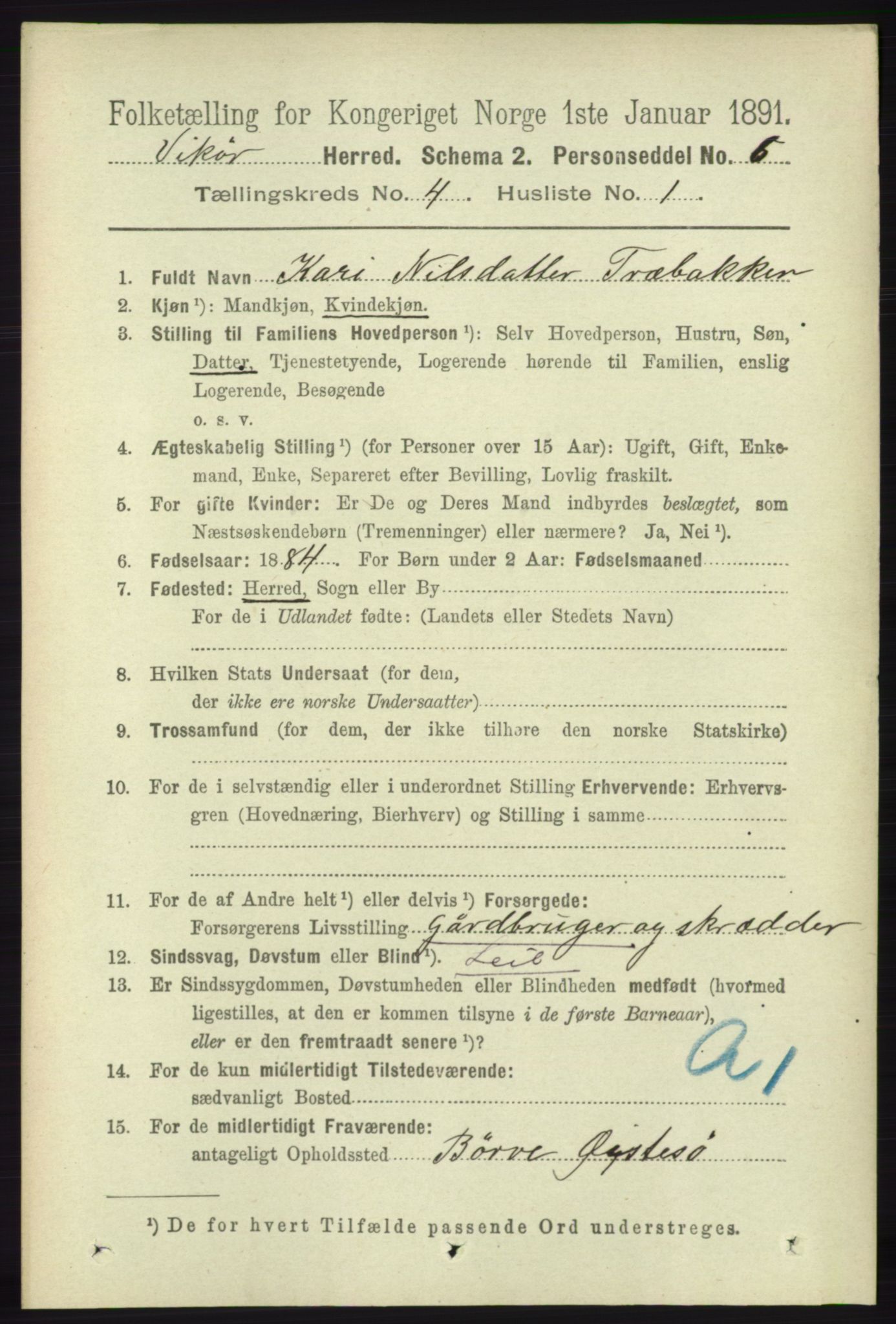 RA, 1891 census for 1238 Vikør, 1891, p. 1090