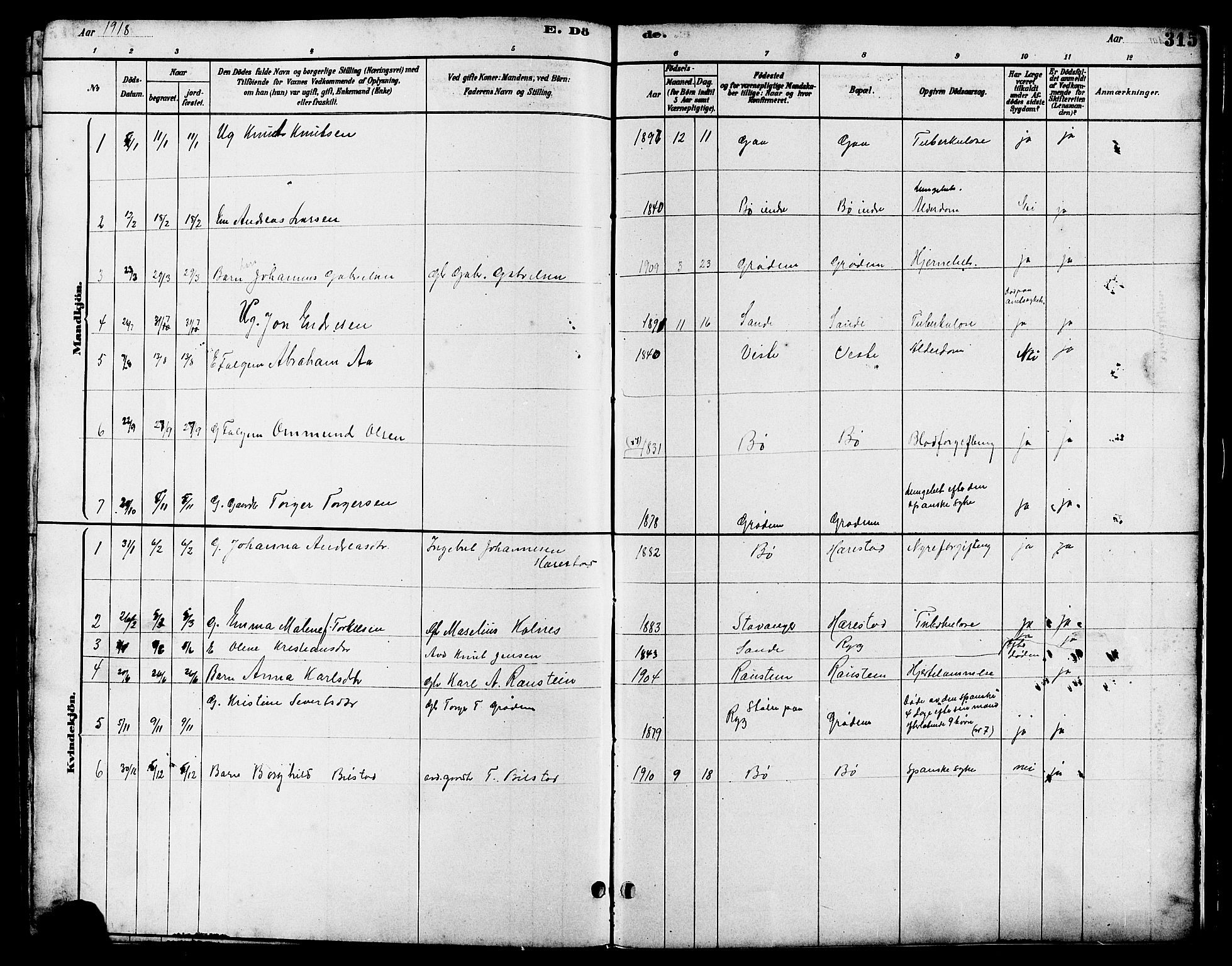 Hetland sokneprestkontor, SAST/A-101826/30/30BB/L0006: Parish register (copy) no. B 6, 1878-1921, p. 315