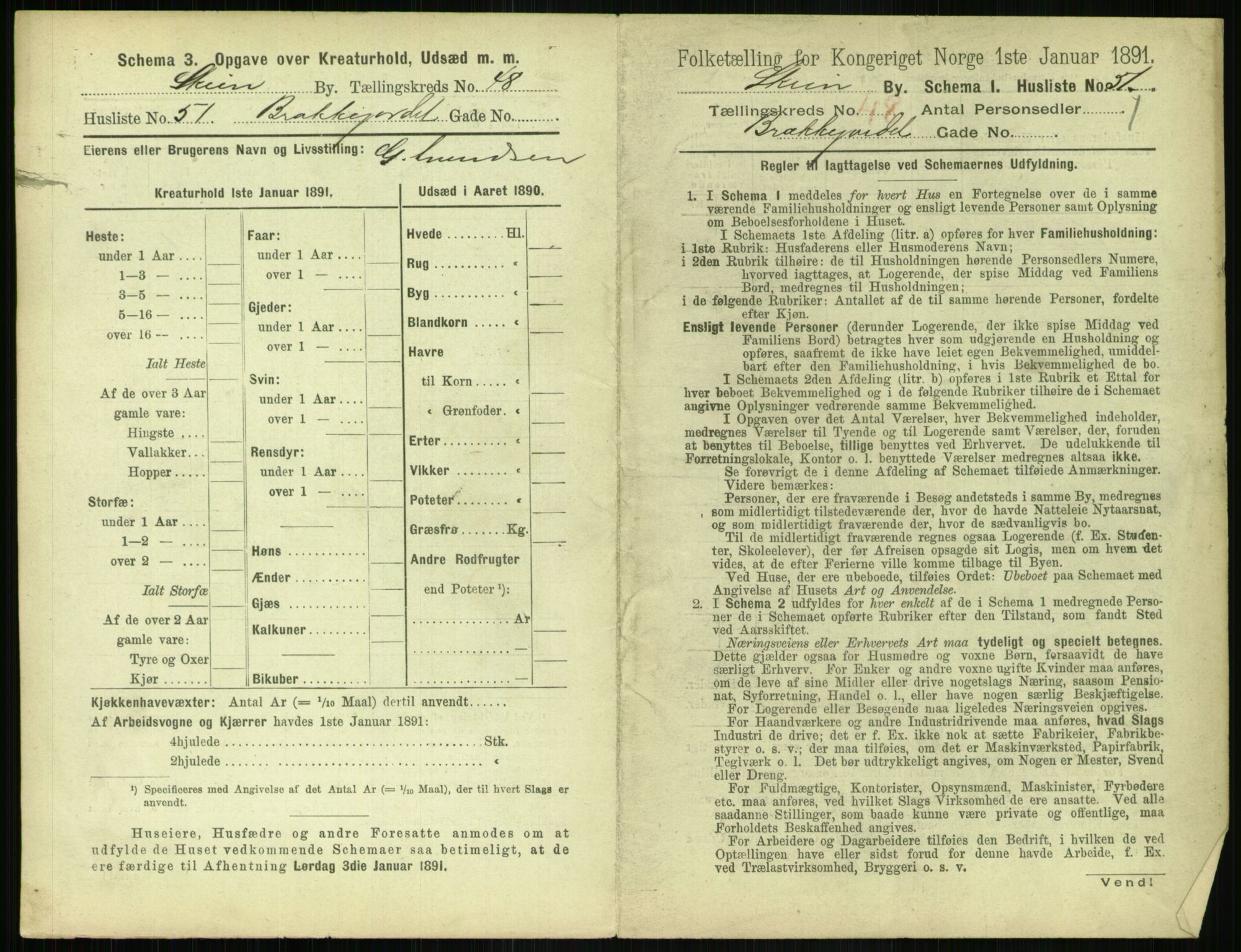 RA, 1891 census for 0806 Skien, 1891, p. 1882