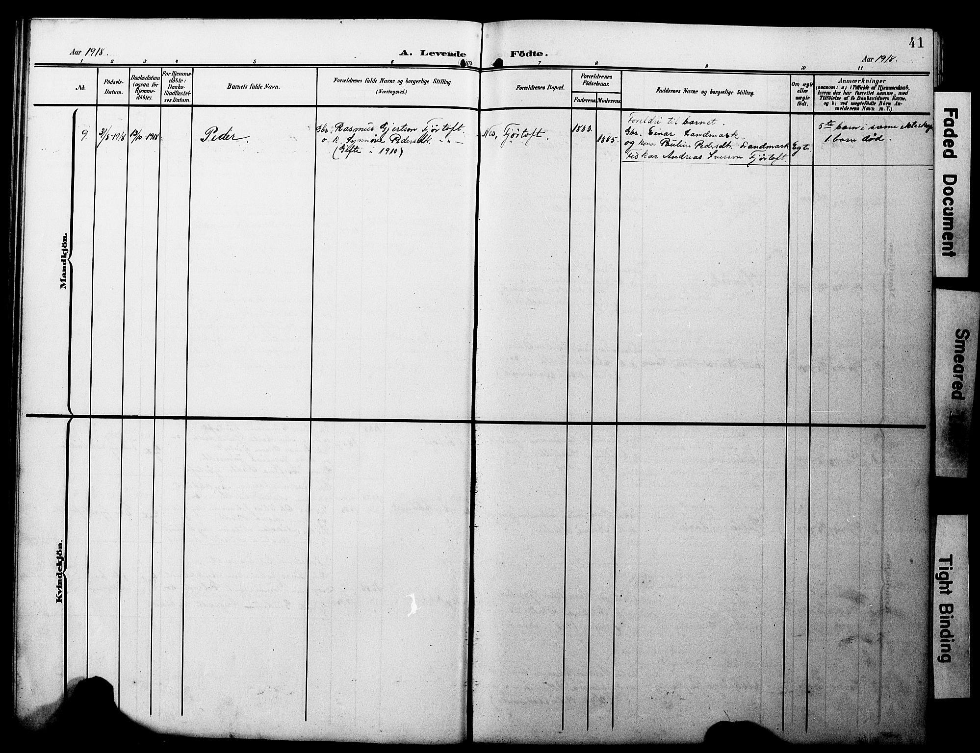 Ministerialprotokoller, klokkerbøker og fødselsregistre - Møre og Romsdal, AV/SAT-A-1454/538/L0524: Parish register (copy) no. 538C02, 1901-1931, p. 41