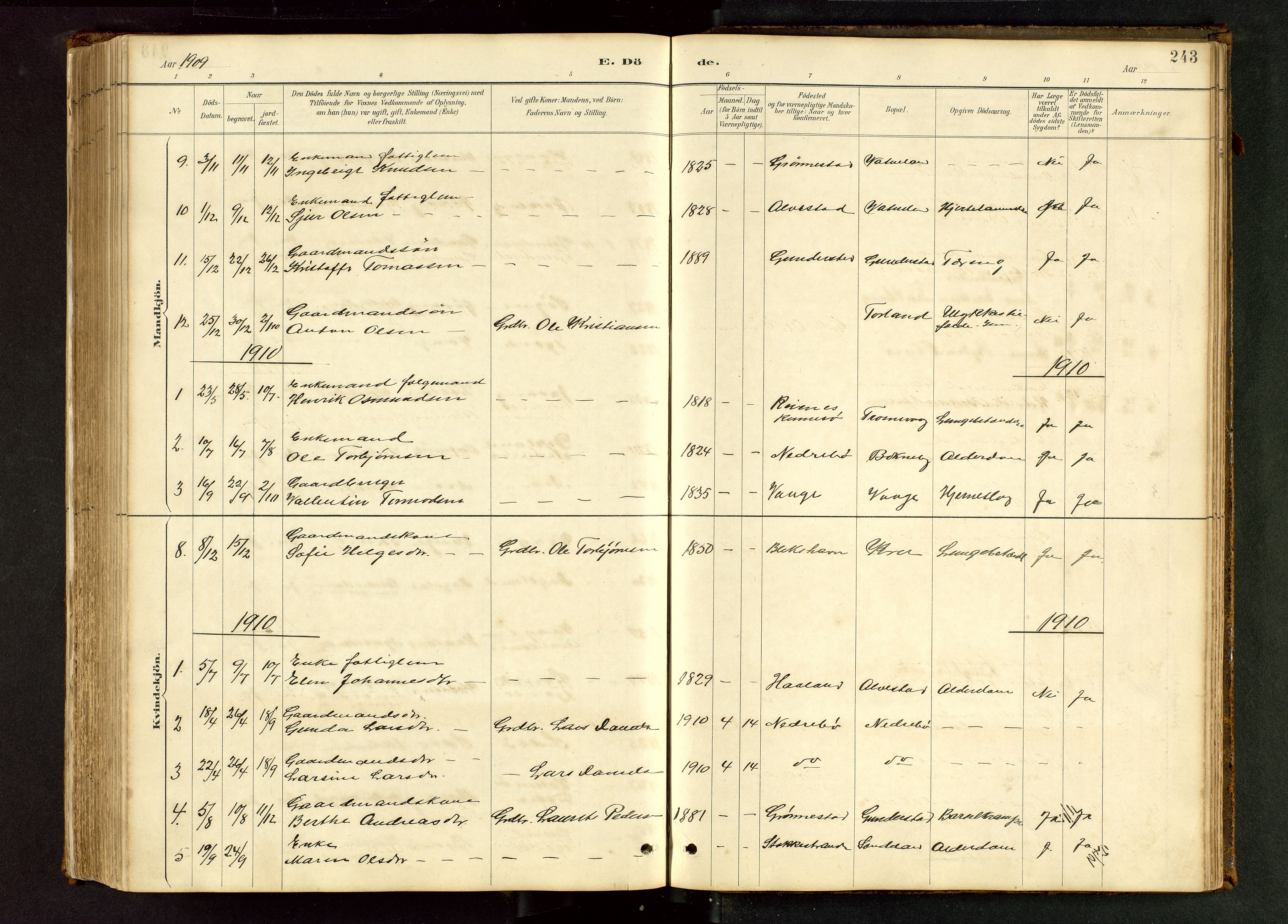 Tysvær sokneprestkontor, AV/SAST-A -101864/H/Ha/Hab/L0005: Parish register (copy) no. B 5, 1887-1947, p. 243