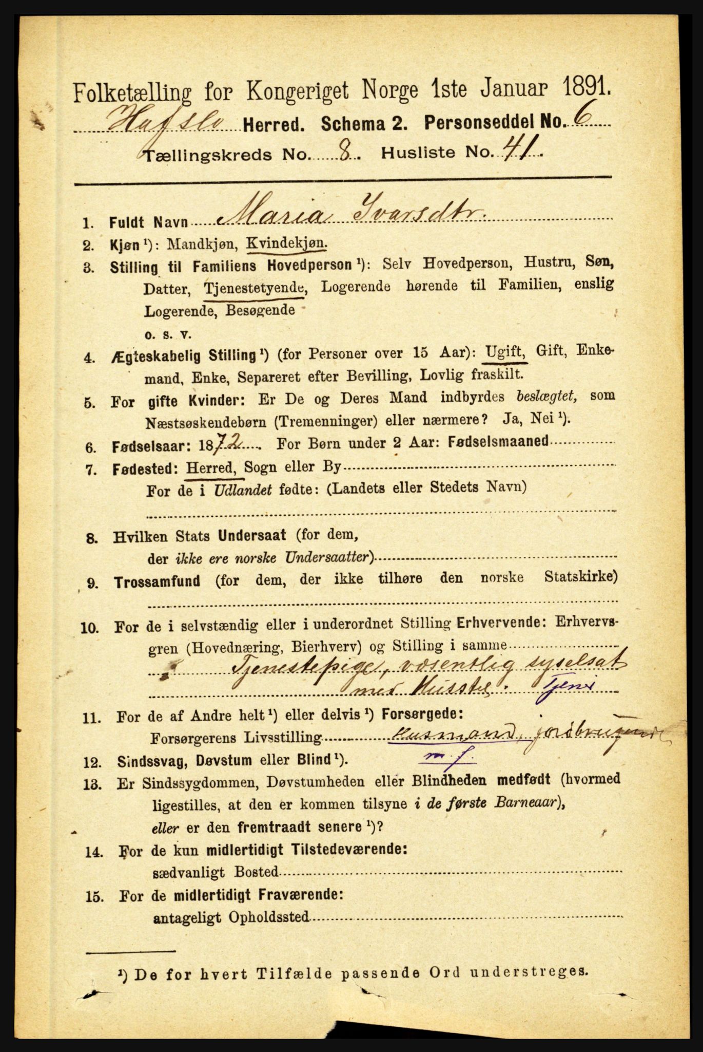 RA, 1891 census for 1425 Hafslo, 1891, p. 3396