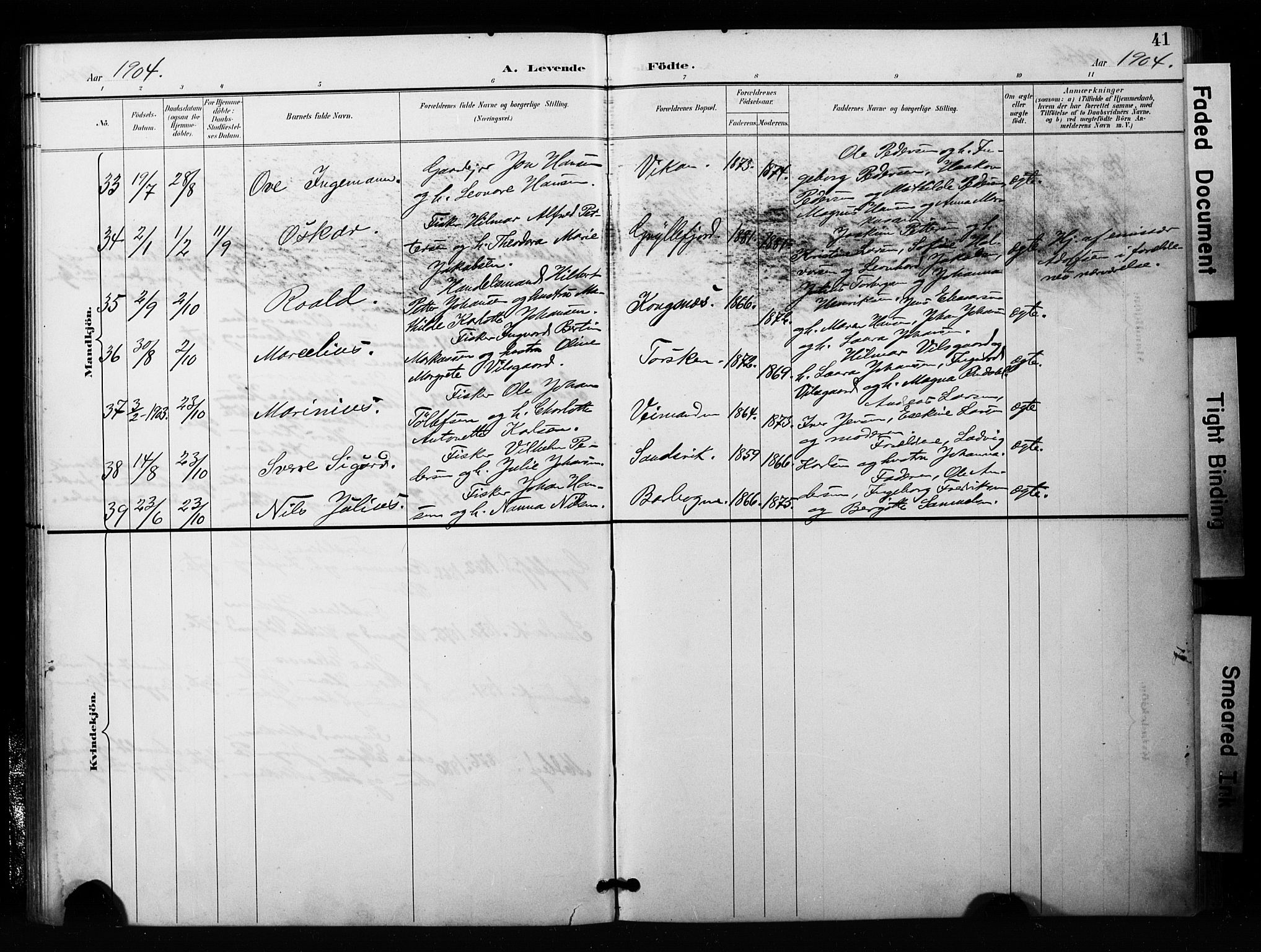 Berg sokneprestkontor, SATØ/S-1318/G/Ga/Gaa/L0006kirke: Parish register (official) no. 6, 1894-1904, p. 41