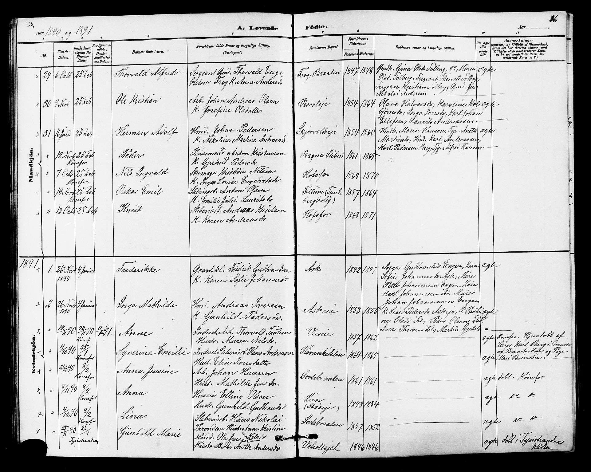 Norderhov kirkebøker, AV/SAKO-A-237/G/Ga/L0008: Parish register (copy) no. I 8, 1887-1912, p. 36