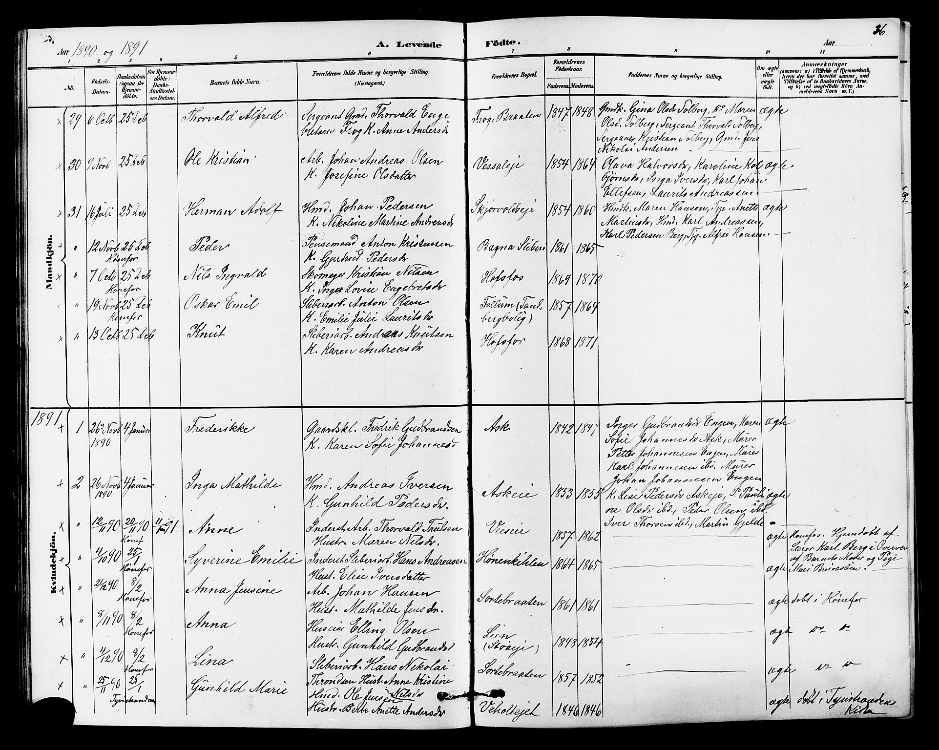 Norderhov kirkebøker, SAKO/A-237/G/Ga/L0008: Parish register (copy) no. I 8, 1887-1912, p. 36