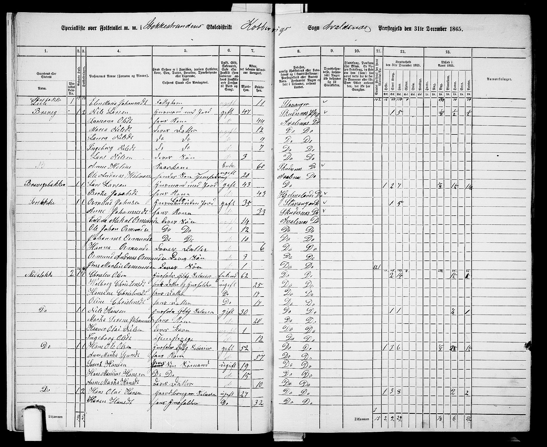 RA, 1865 census for Avaldsnes, 1865, p. 14