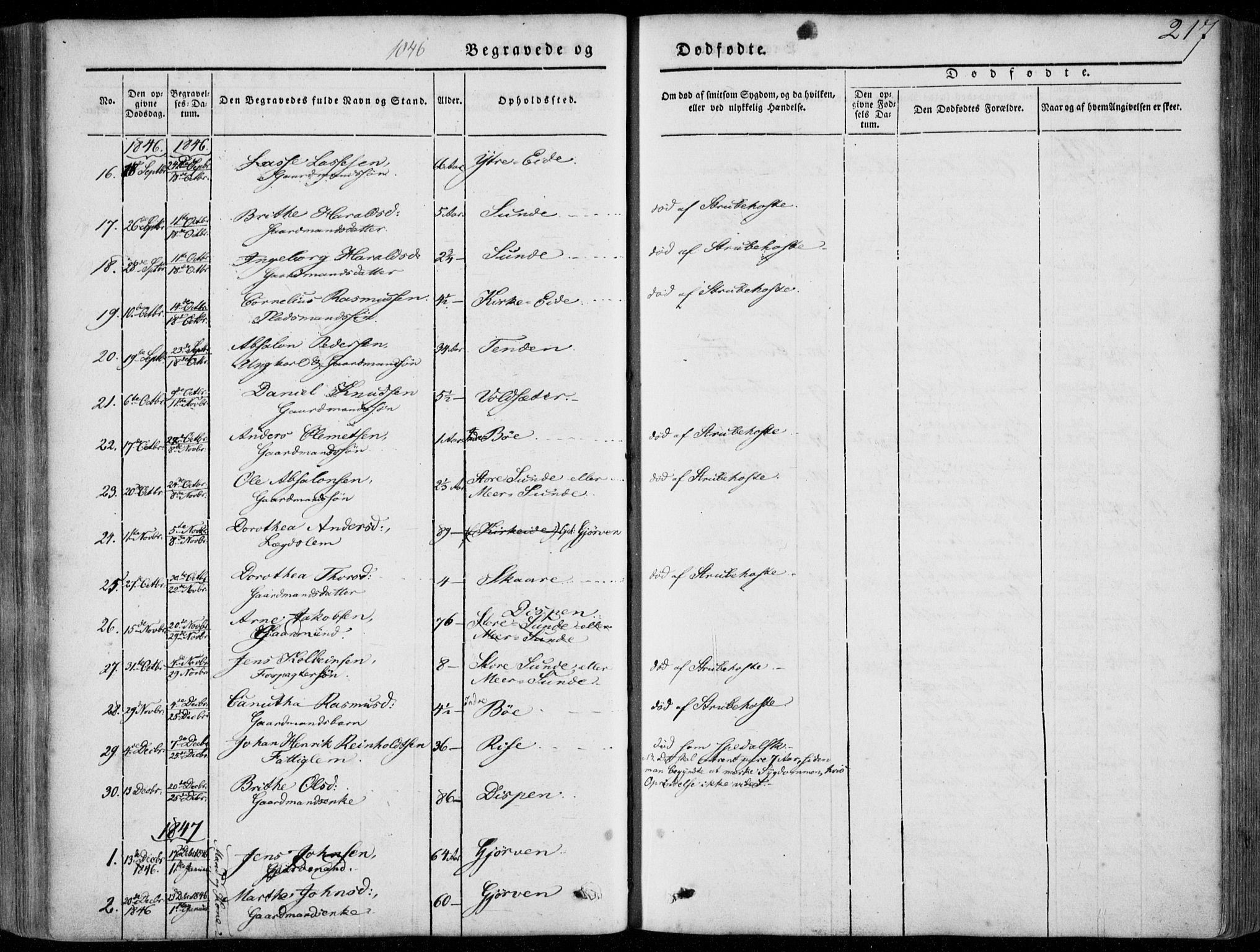 Stryn Sokneprestembete, SAB/A-82501: Parish register (official) no. A 2, 1844-1861, p. 217