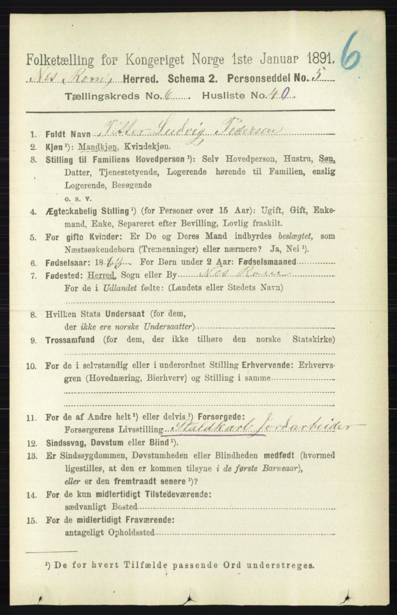 RA, 1891 census for 0236 Nes, 1891, p. 3631