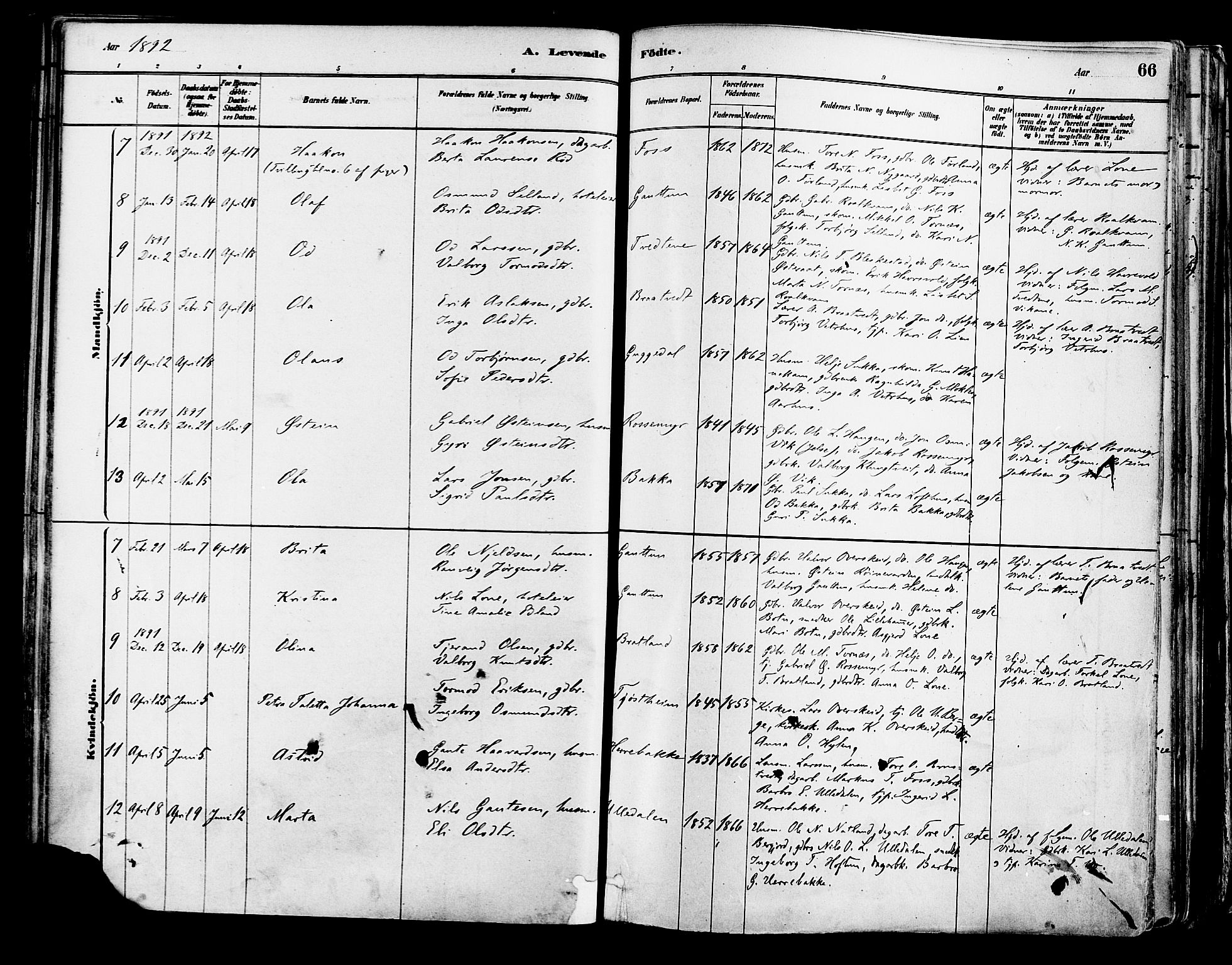 Suldal sokneprestkontor, AV/SAST-A-101845/01/IV/L0011: Parish register (official) no. A 11, 1878-1900, p. 66