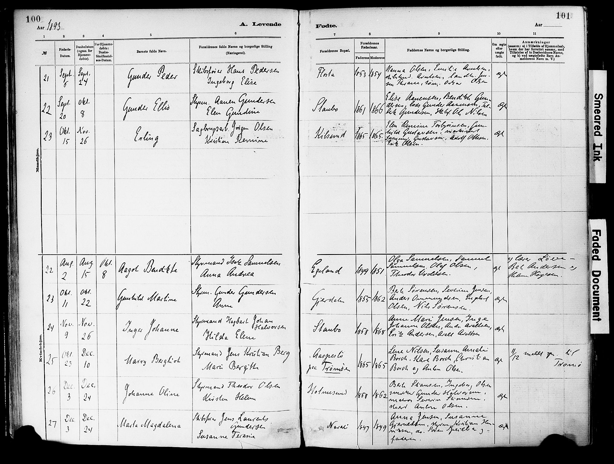 Dypvåg sokneprestkontor, SAK/1111-0007/F/Fa/Fab/L0001: Parish register (official) no. A 1, 1885-1912, p. 100-101