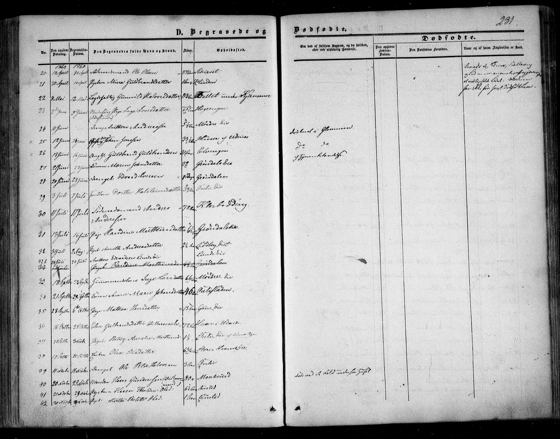 Nes prestekontor Kirkebøker, SAO/A-10410/F/Fc/L0001: Parish register (official) no. III 1, 1859-1882, p. 231