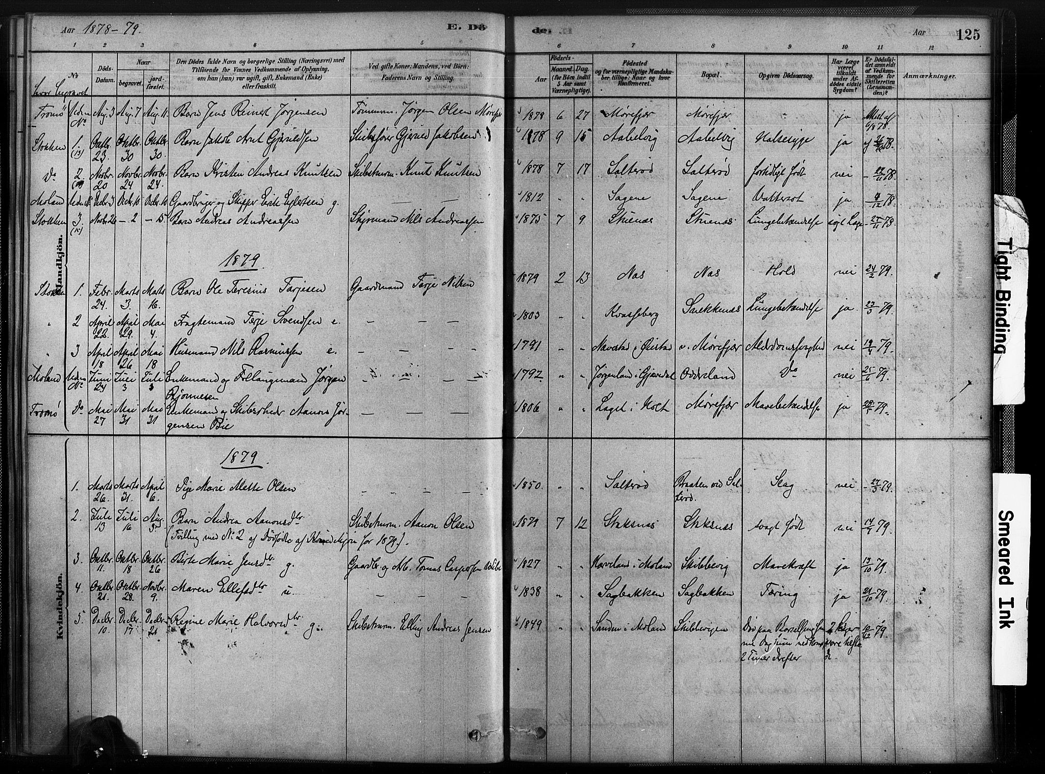 Austre Moland sokneprestkontor, SAK/1111-0001/F/Fa/Fab/L0001: Parish register (official) no. A 1, 1878-1898, p. 125