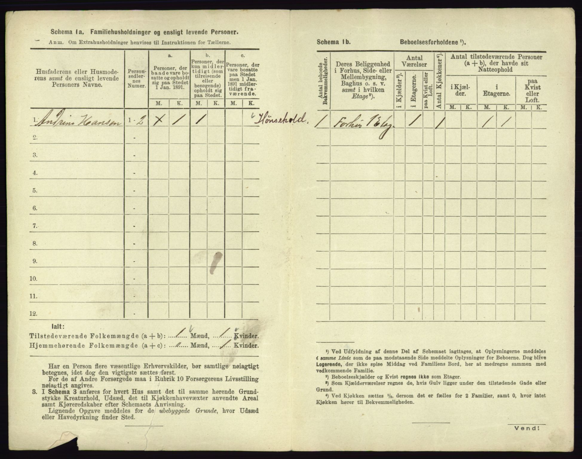 RA, 1891 census for 0602 Drammen, 1891, p. 3110