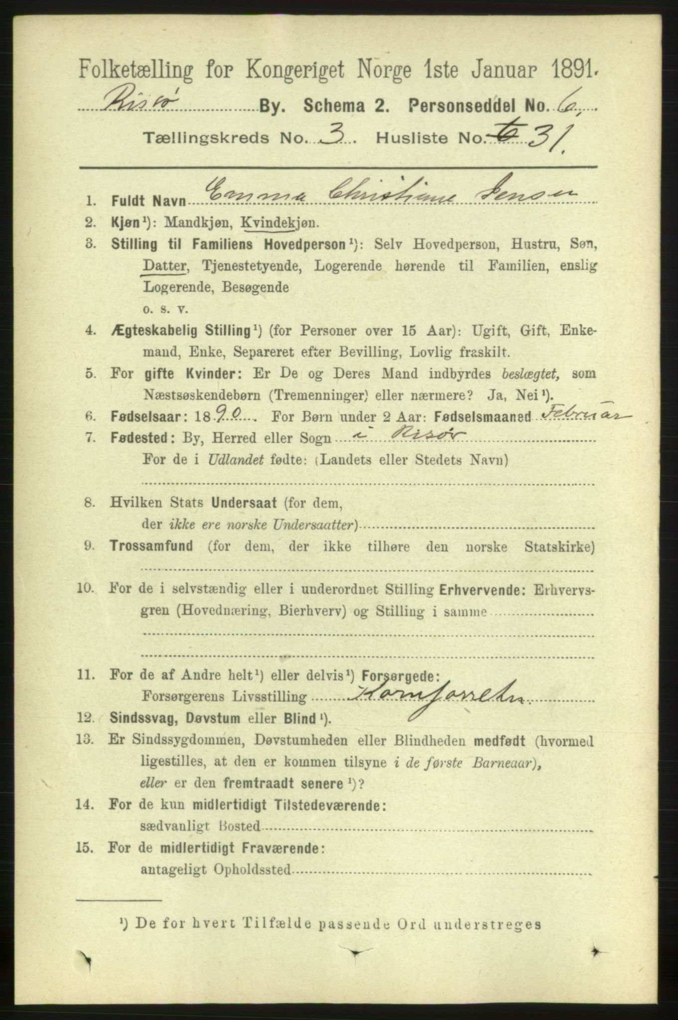 RA, 1891 census for 0901 Risør, 1891, p. 3372