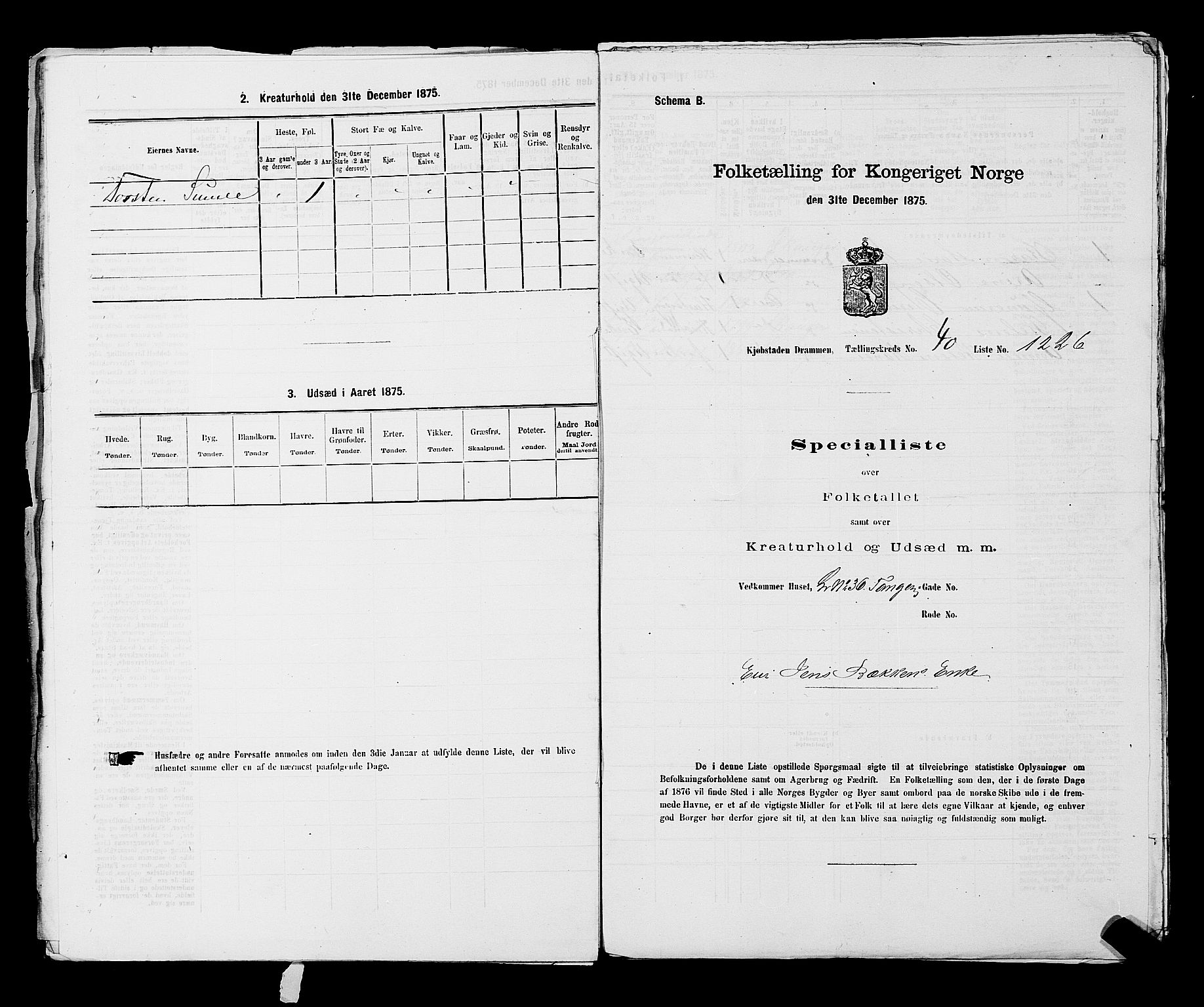 SAKO, 1875 census for 0602 Drammen, 1875, p. 3381