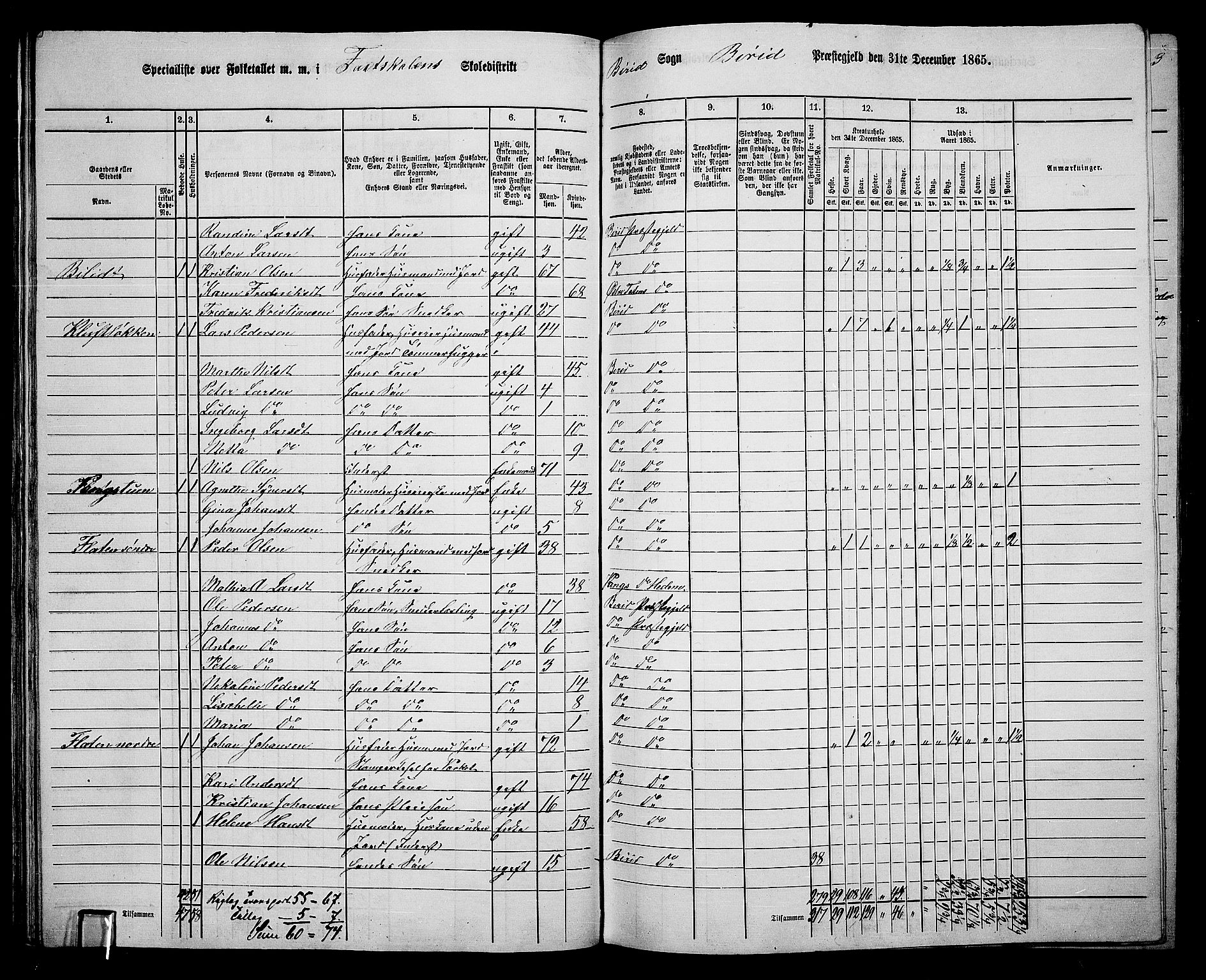 RA, 1865 census for Biri, 1865, p. 51